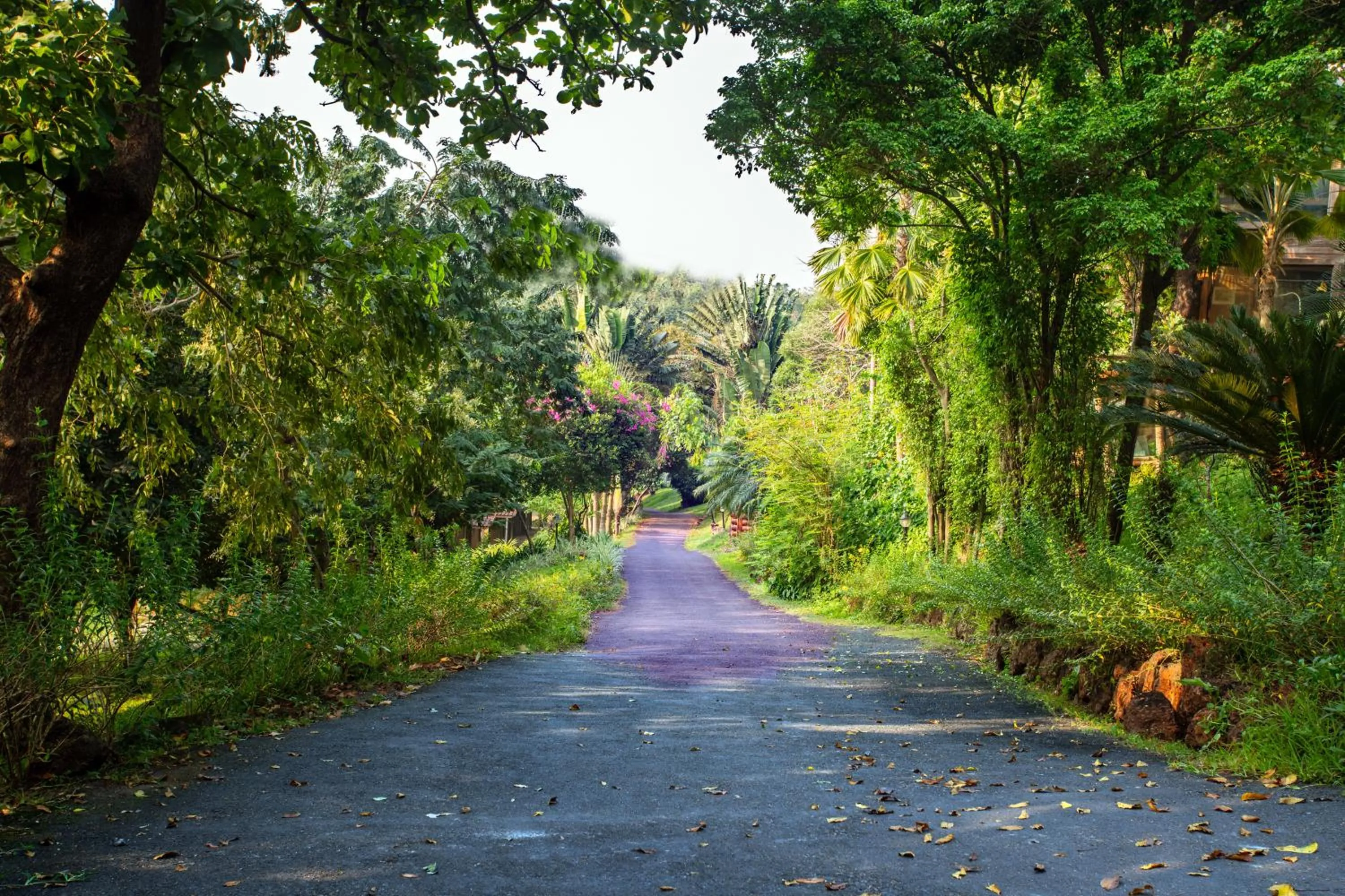 Day in Stone Water Eco Resort