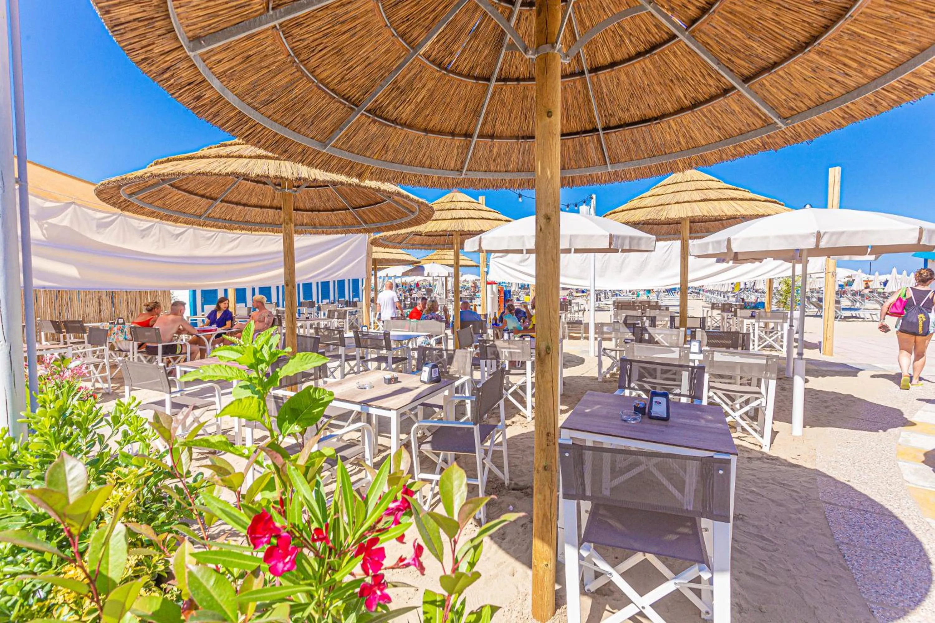 Beach in Hotel Altamarea Cesenatico