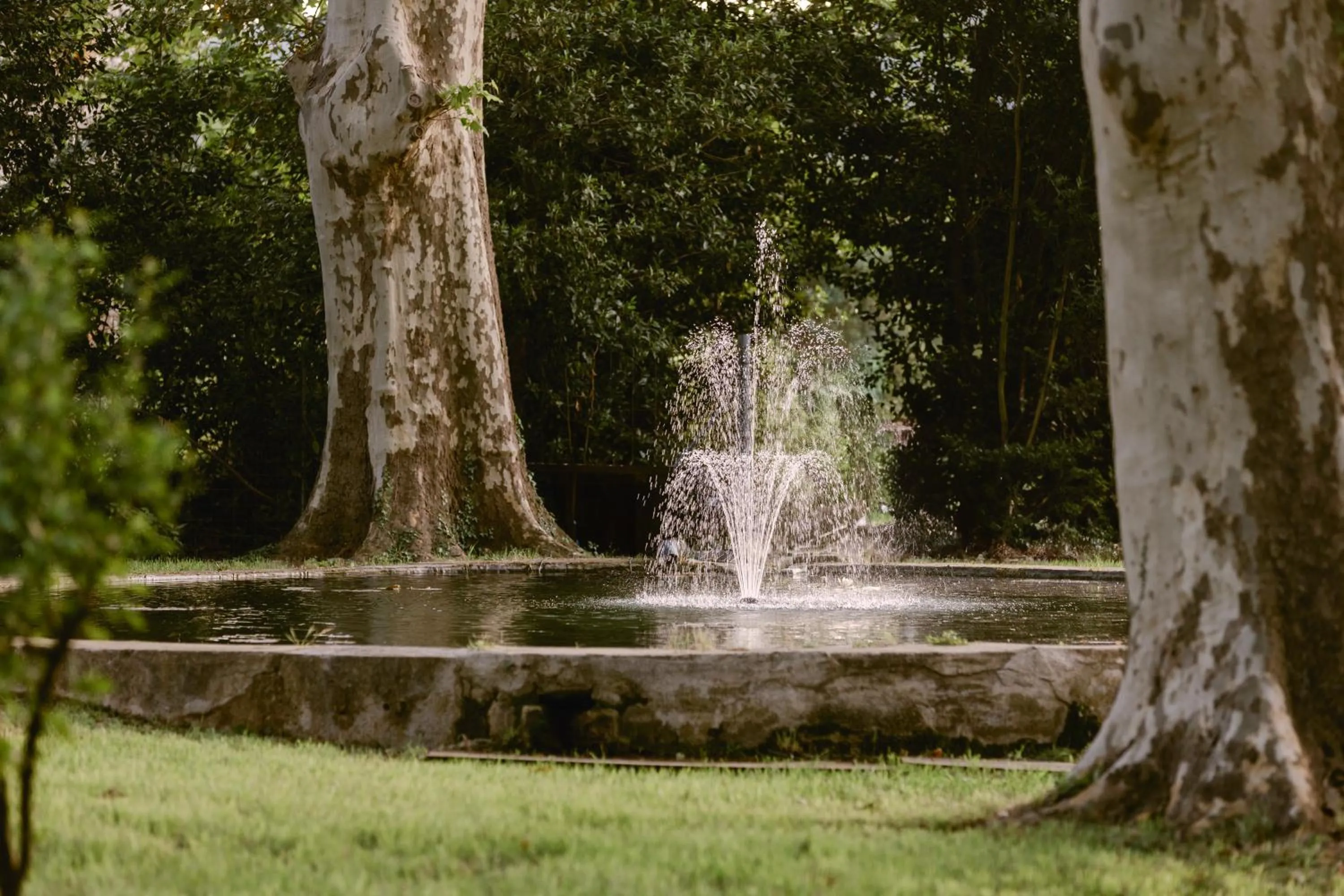 Garden in Château La Bruguière