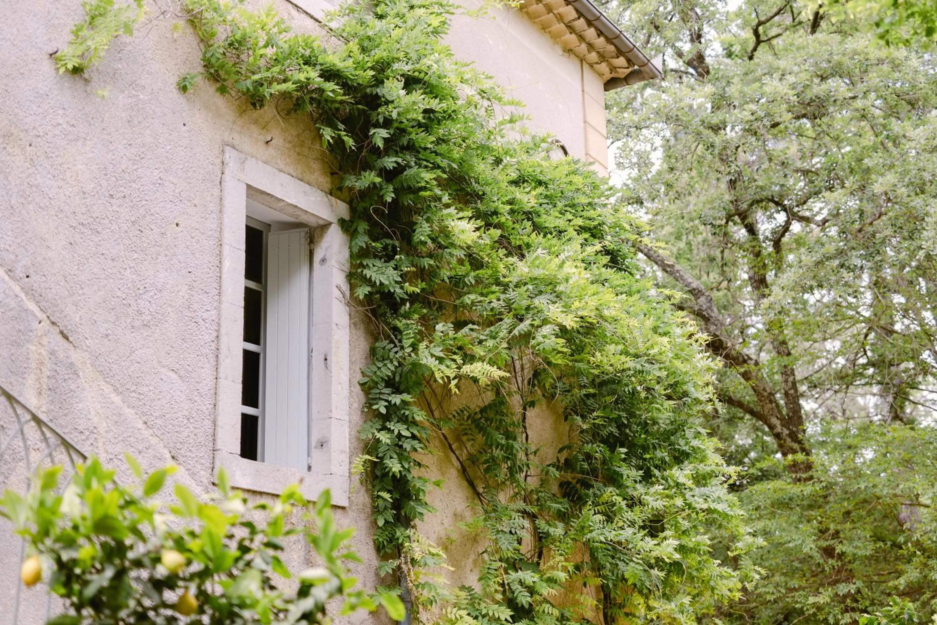 Facade/entrance in Château La Bruguière
