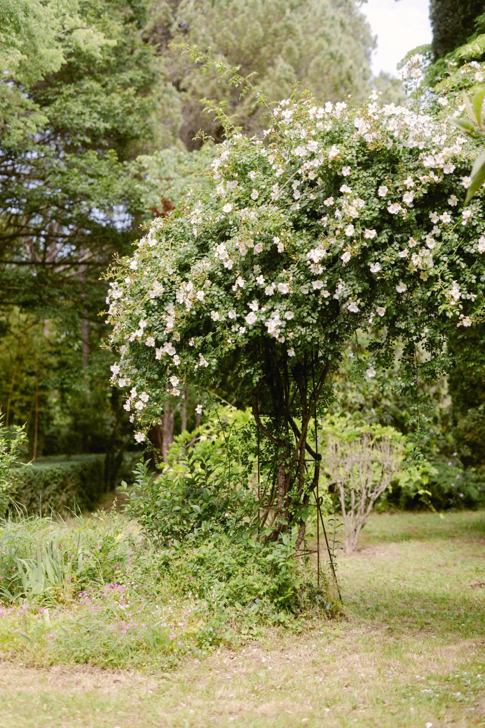 Garden in Château La Bruguière