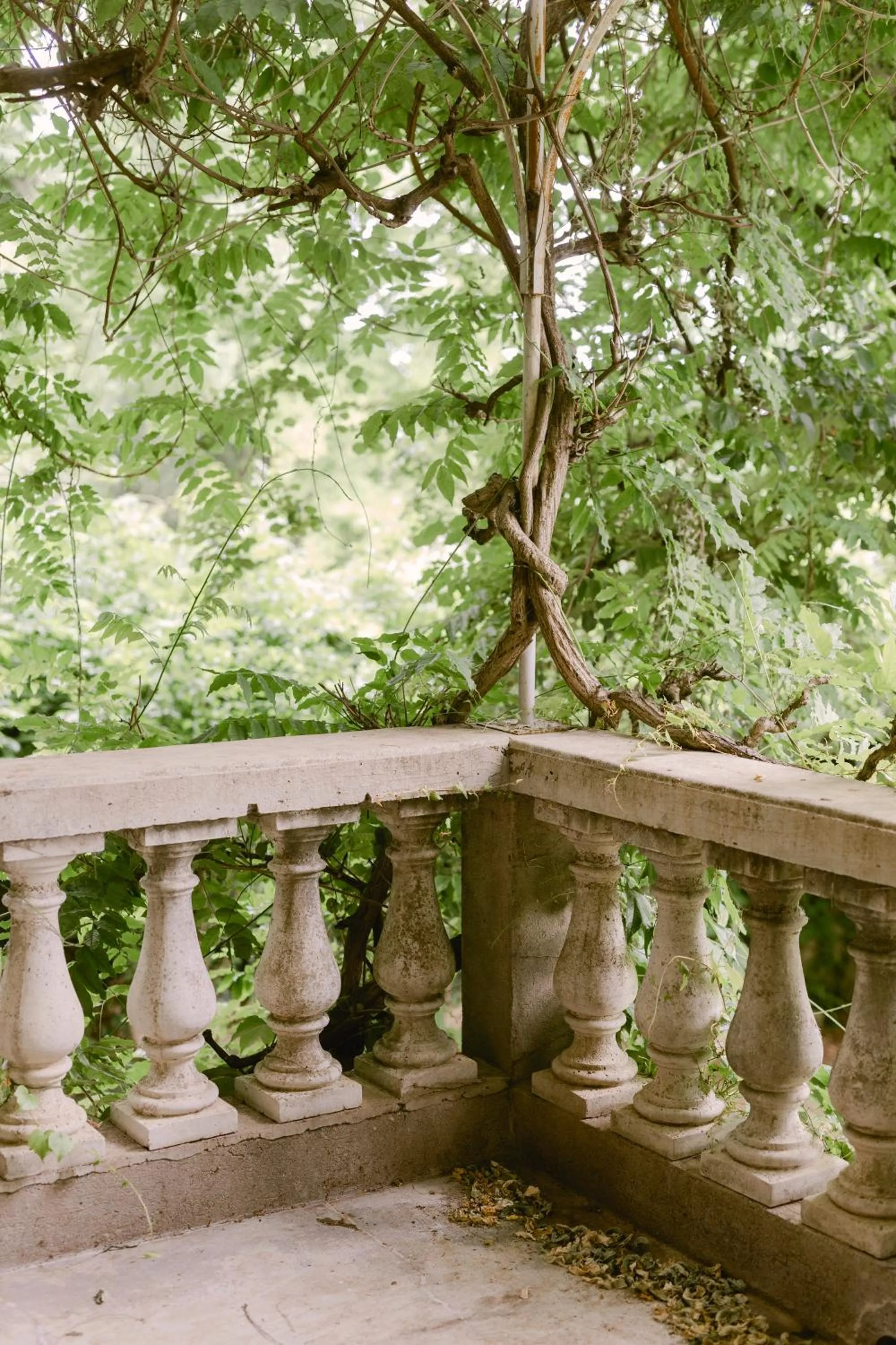 Garden in Château La Bruguière