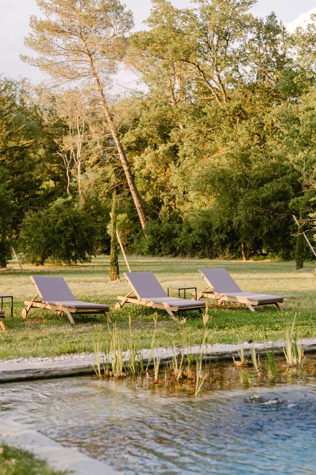 Swimming pool in Château La Bruguière