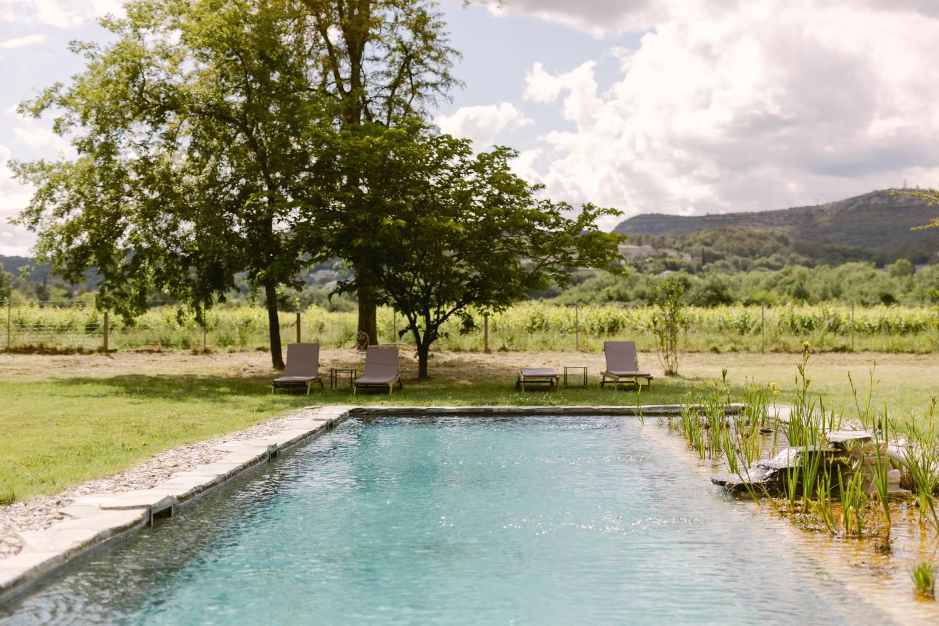 Swimming pool in Château La Bruguière