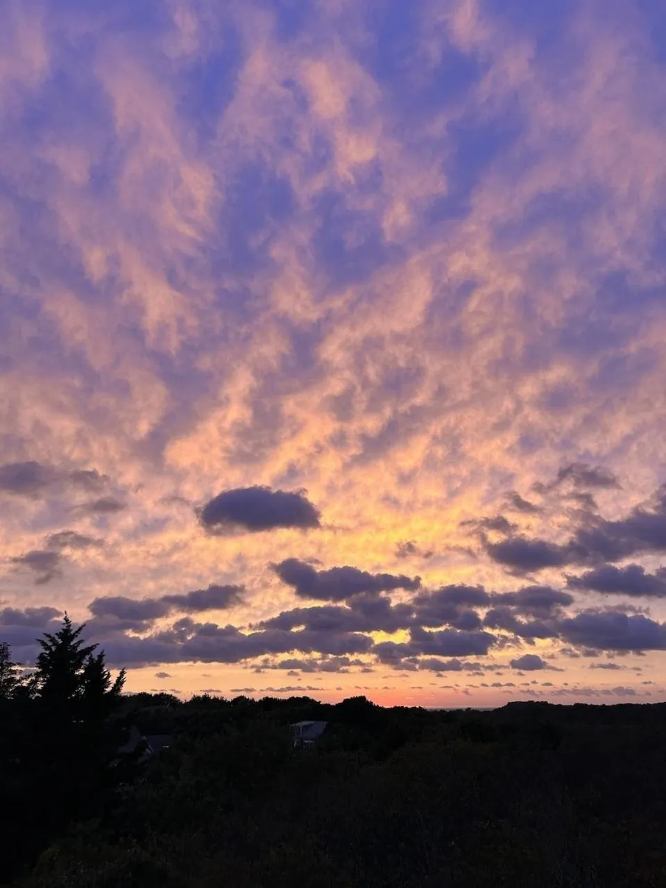 Property building in Martin House 157