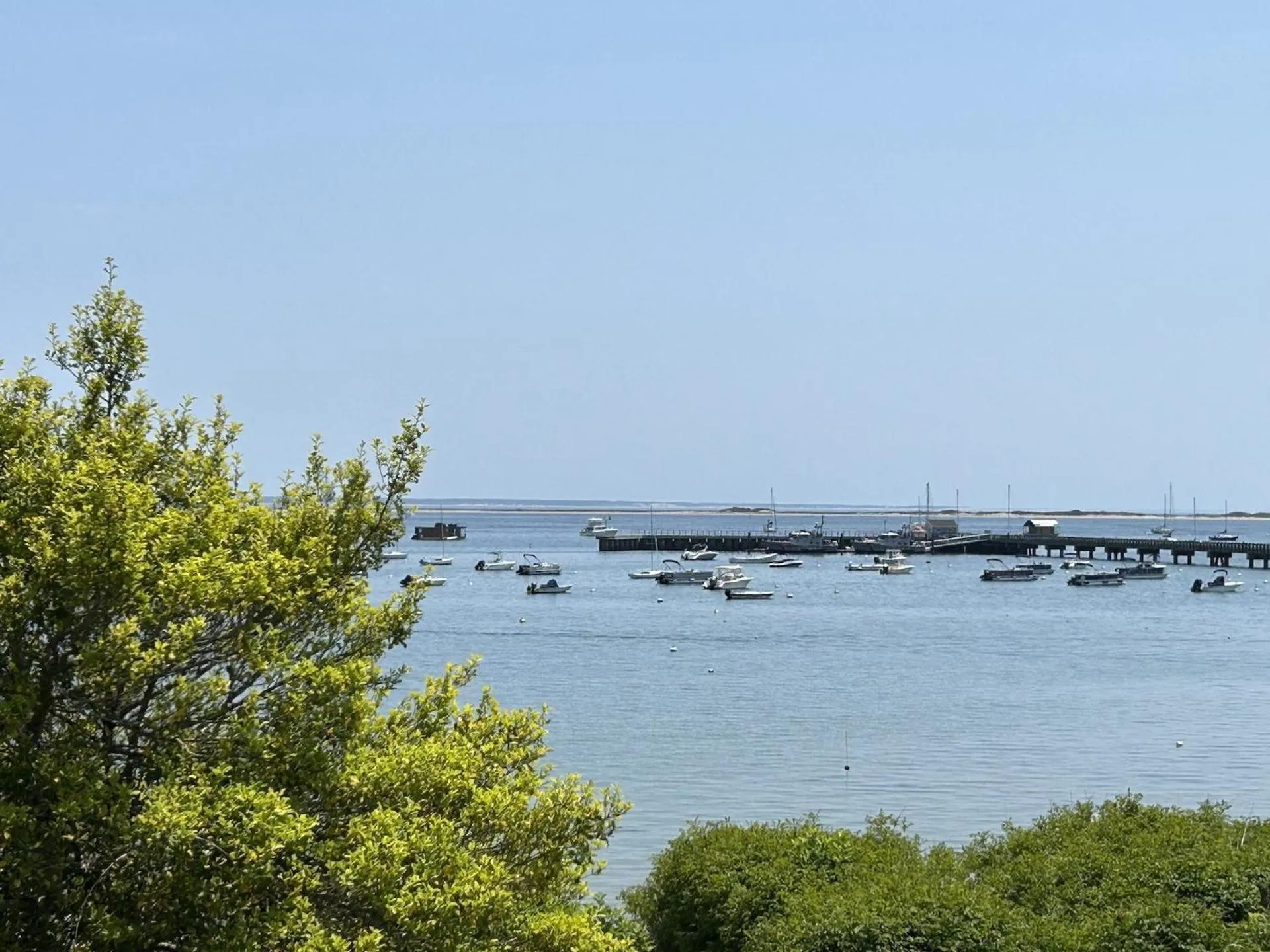 View (from property/room) in Martin House 157