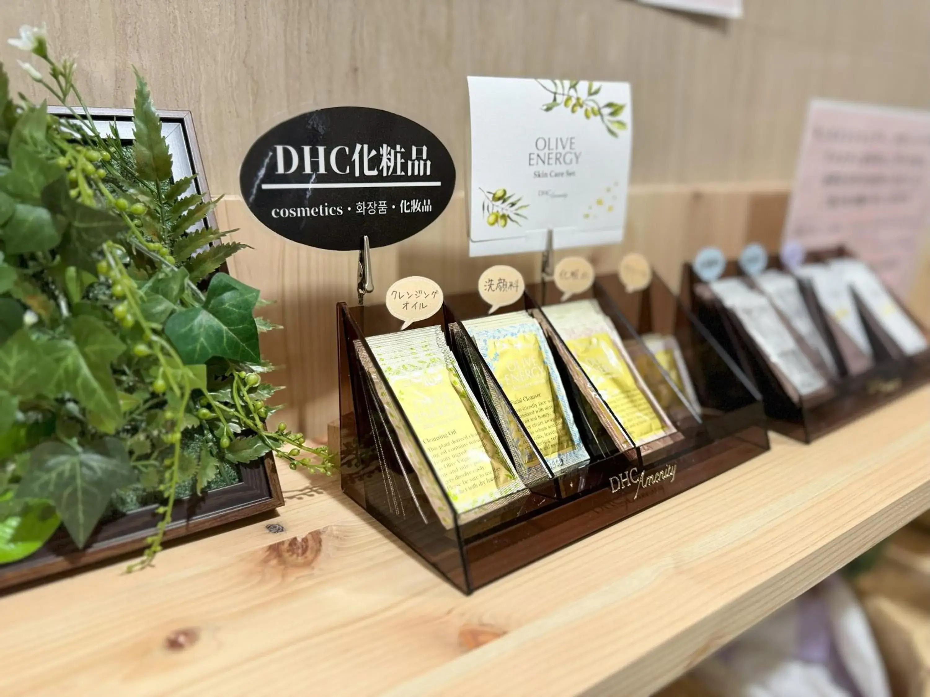 Hotel Alpha Inn Akita Hotel Alpha Inn Akita