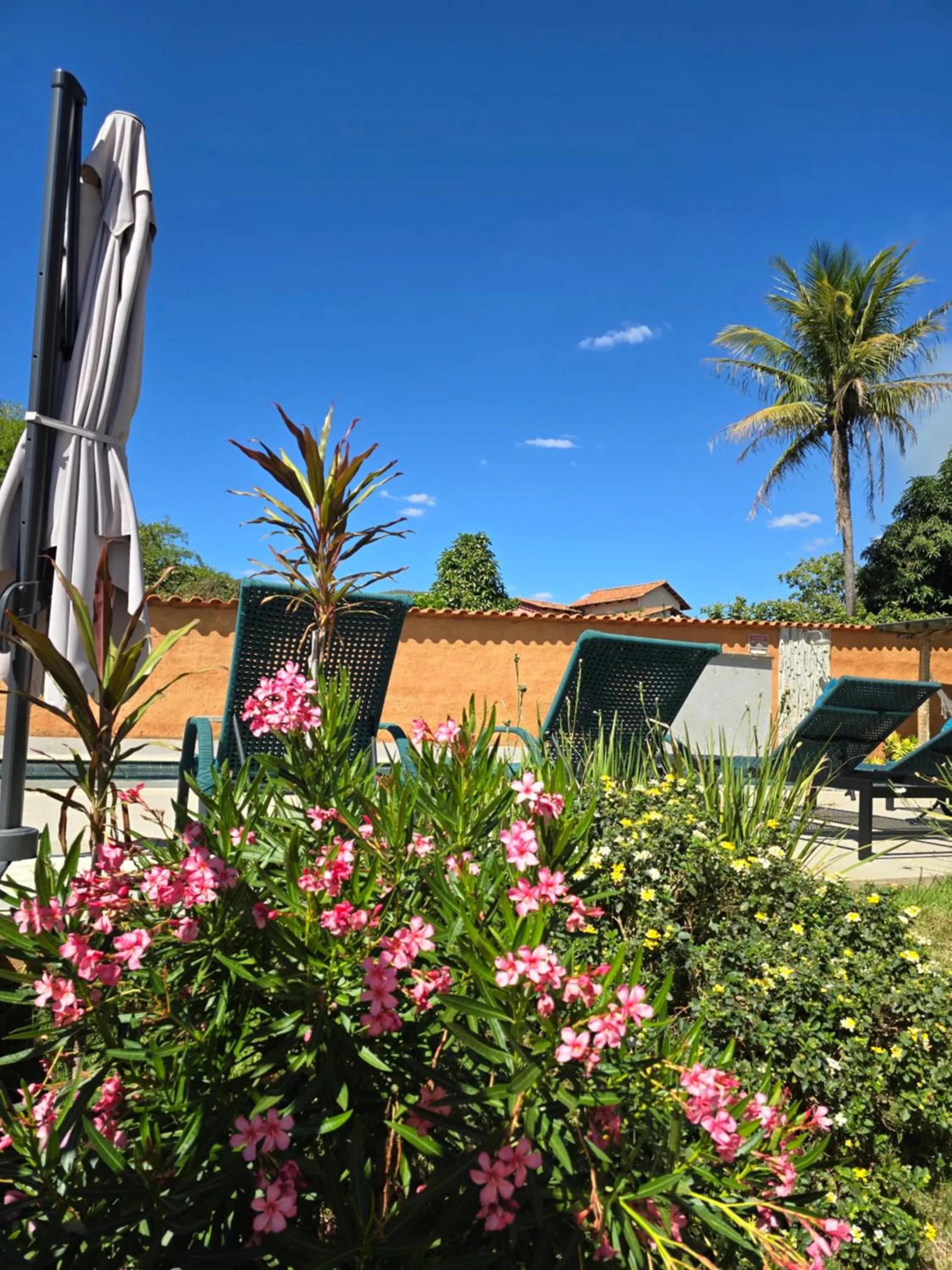 Garden in Confraria da Prata Flats
