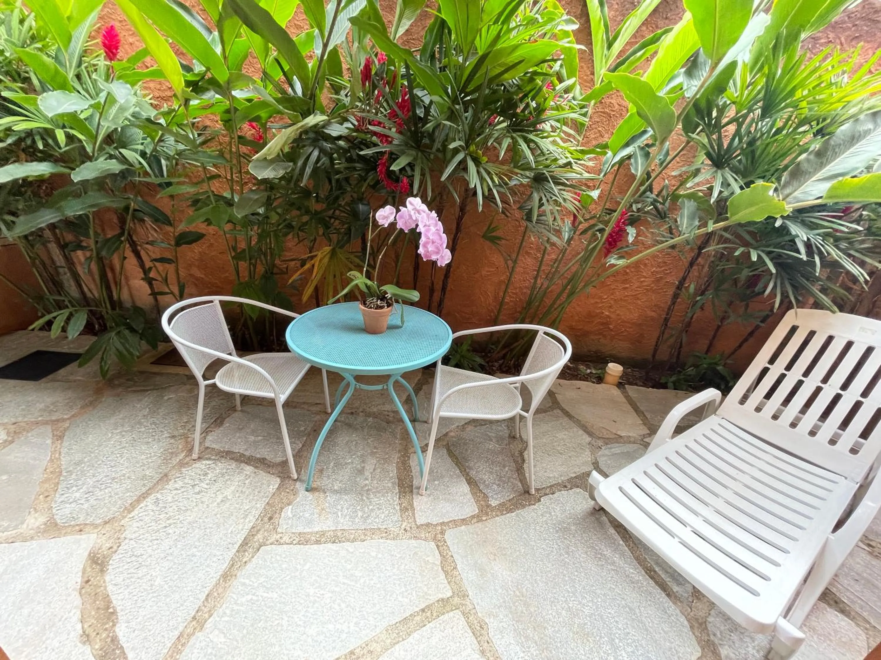 Balcony/Terrace in Confraria da Prata Flats