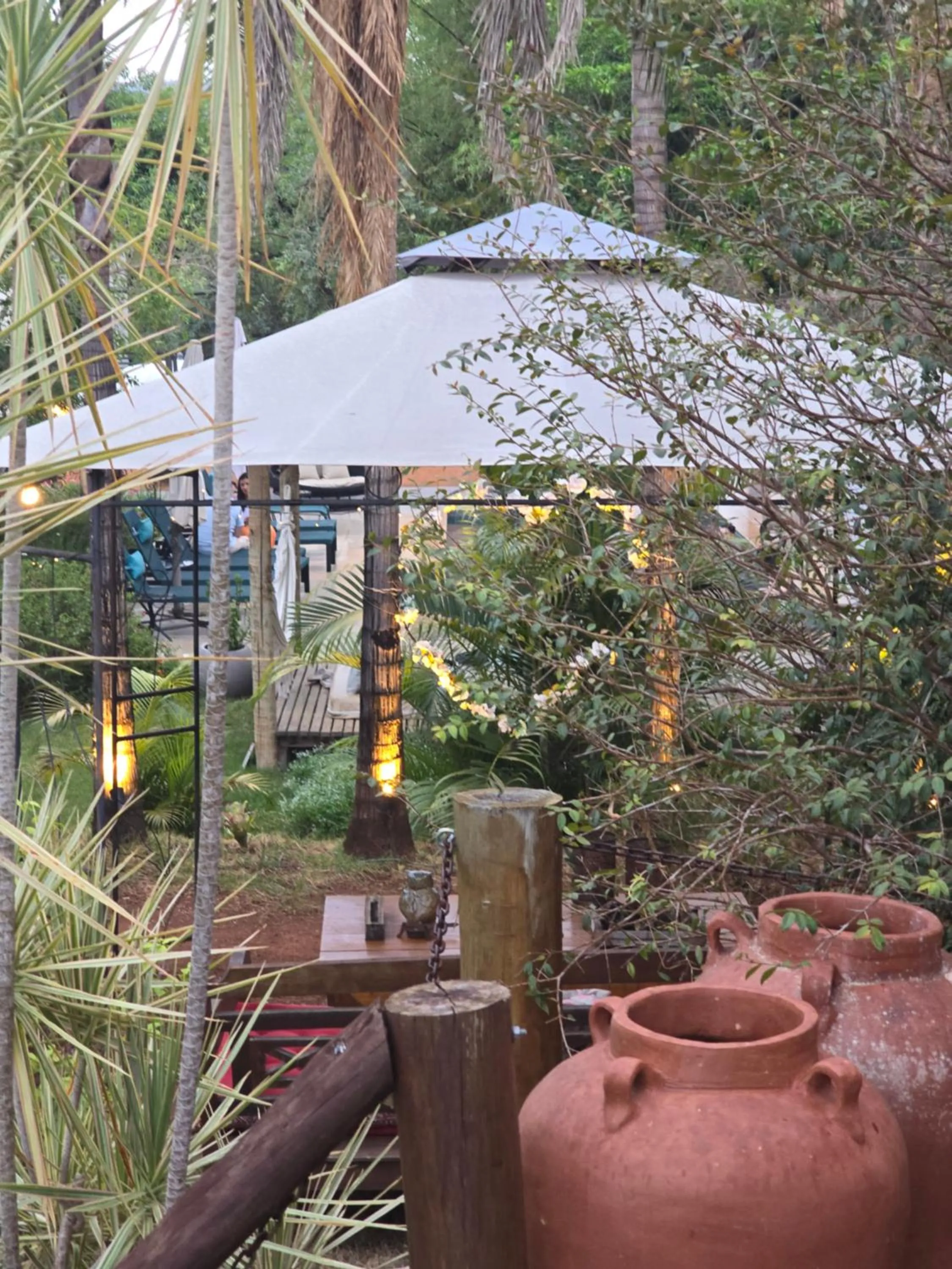 Garden view in Confraria da Prata Flats