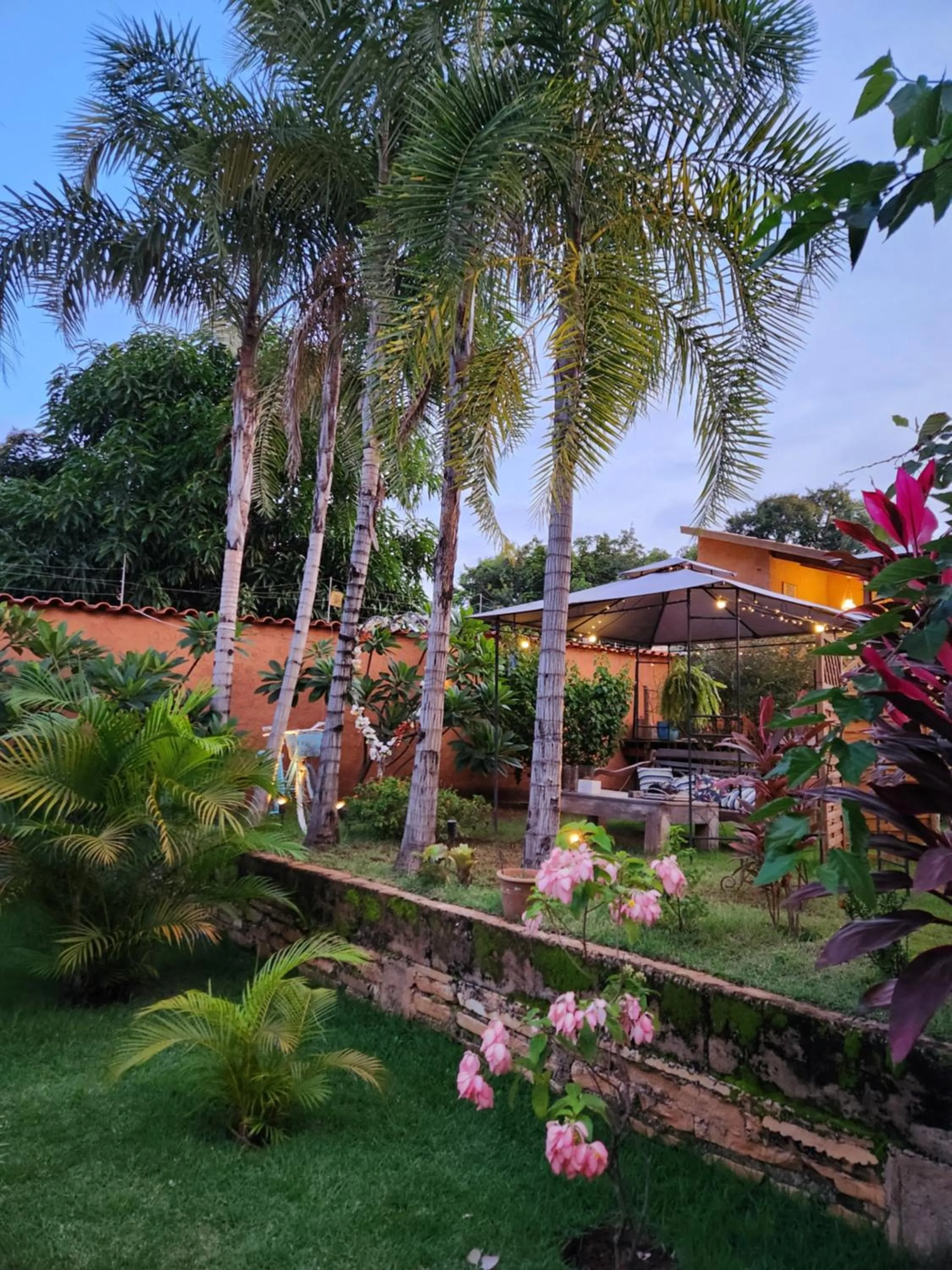 Garden view in Confraria da Prata Flats