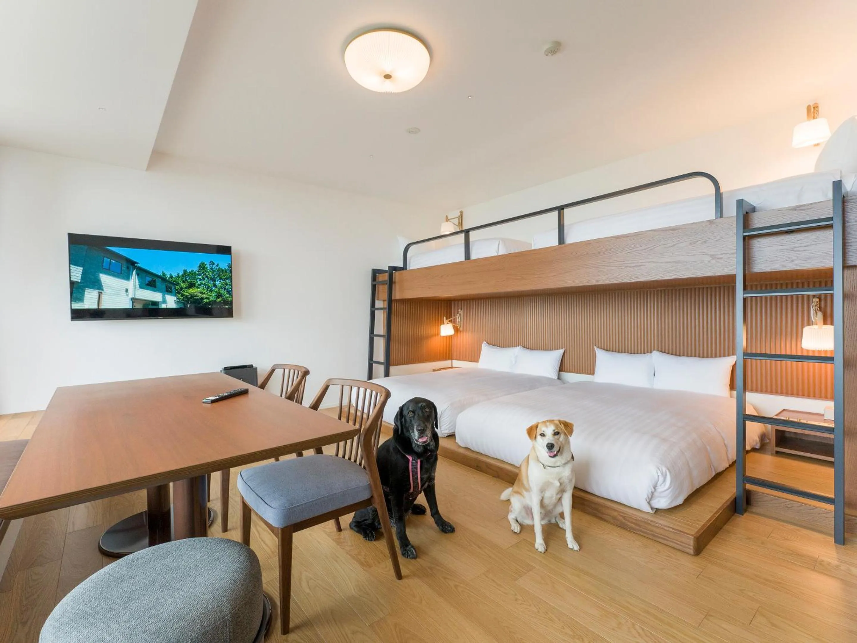 Pets, Bed in Rakuten STAY Atami