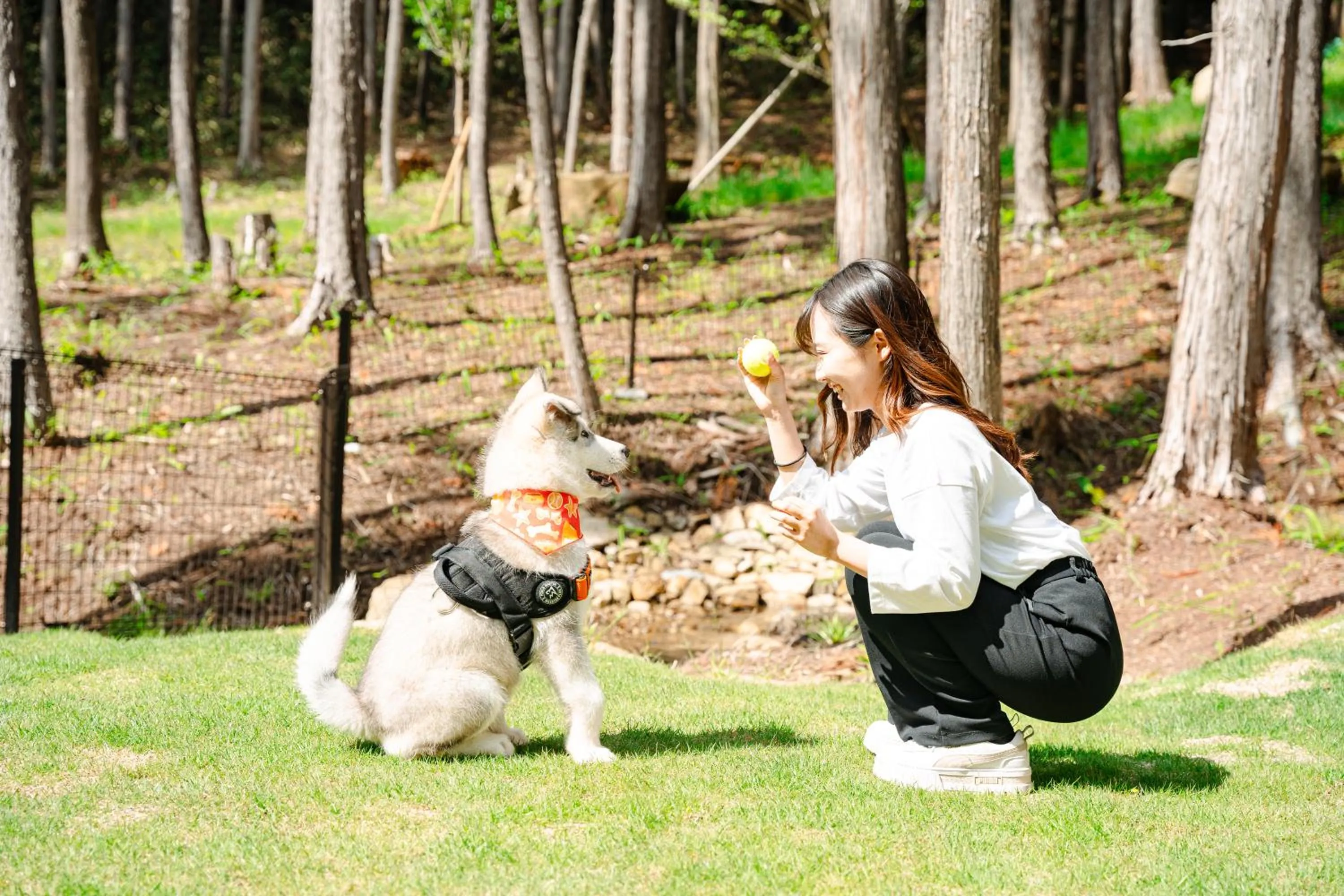Pets in GLAMPING GATE 奈良
