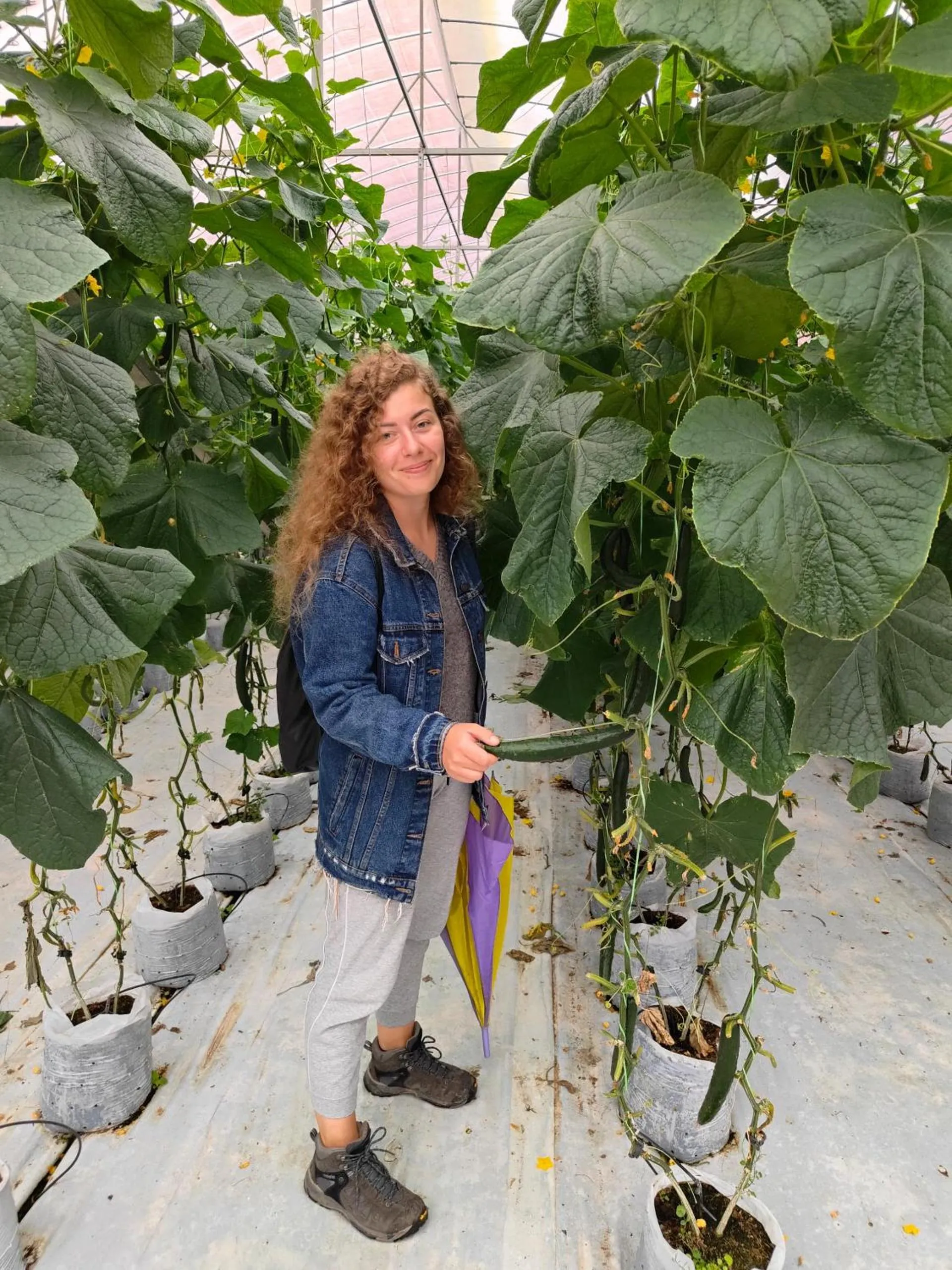 Tekoma Hotel Cameron Highlands