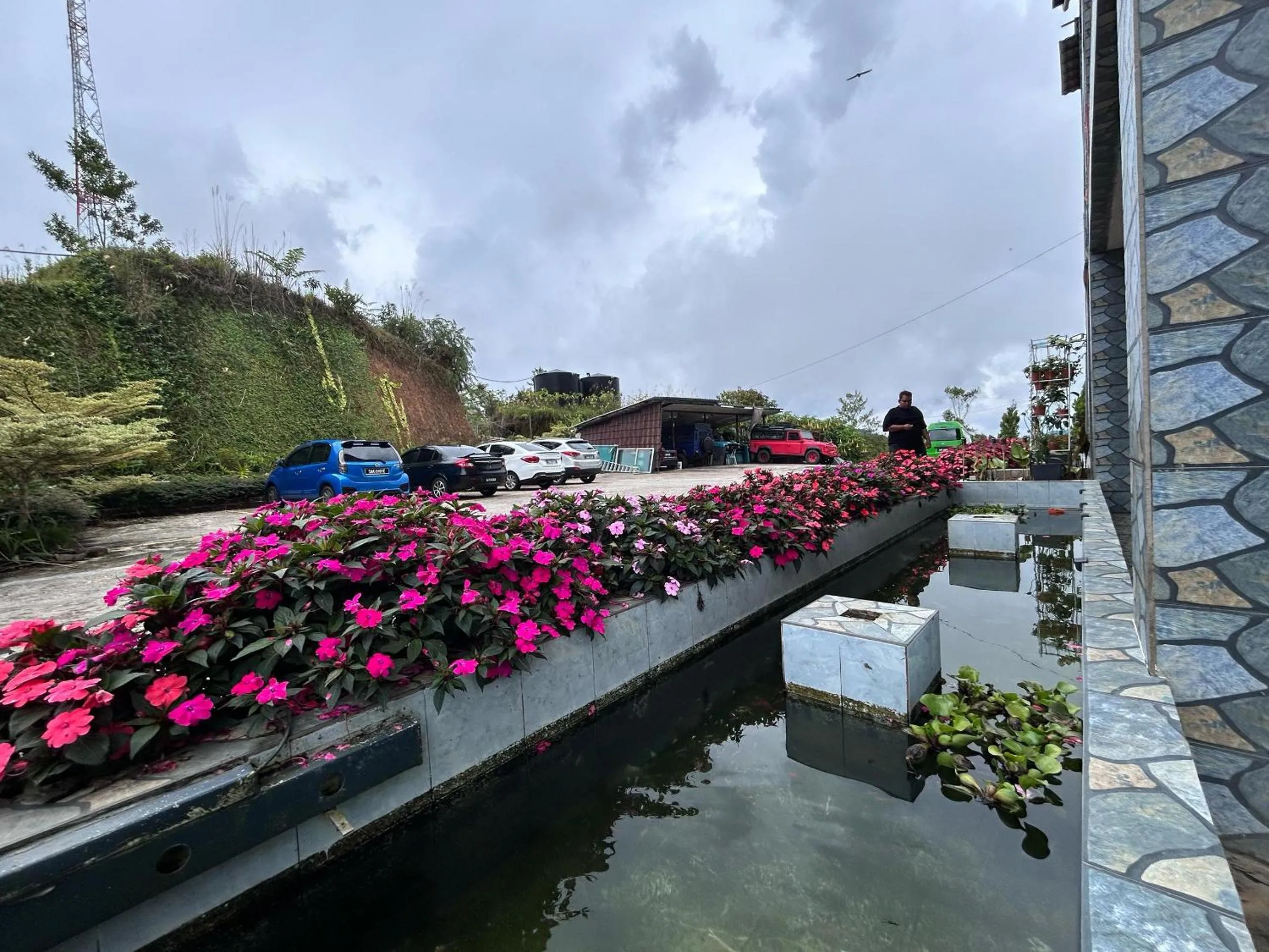 Garden view in Tekoma Hotel Cameron Highlands