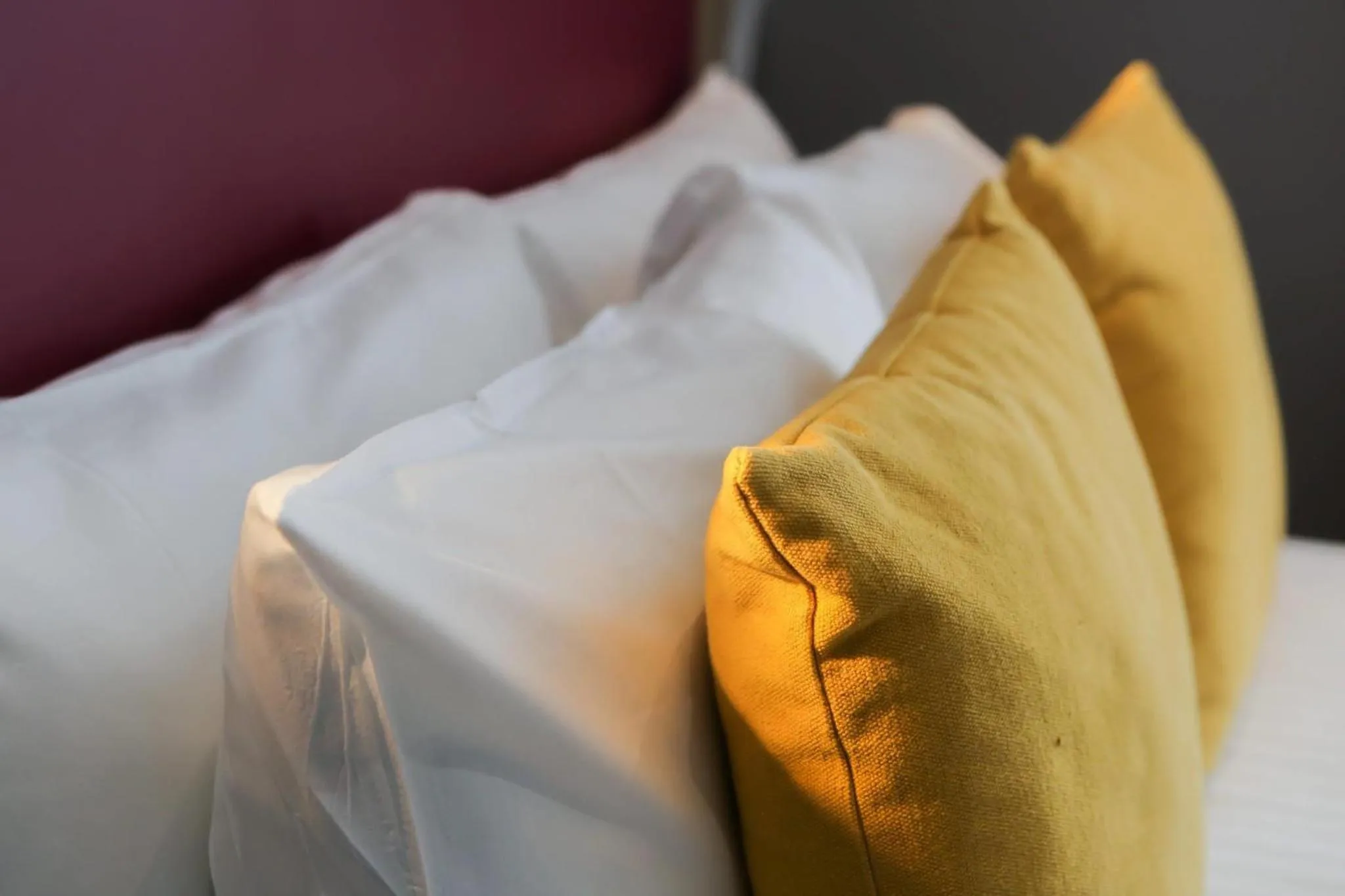 Bedroom, Bed in Comfort Inn Victoria