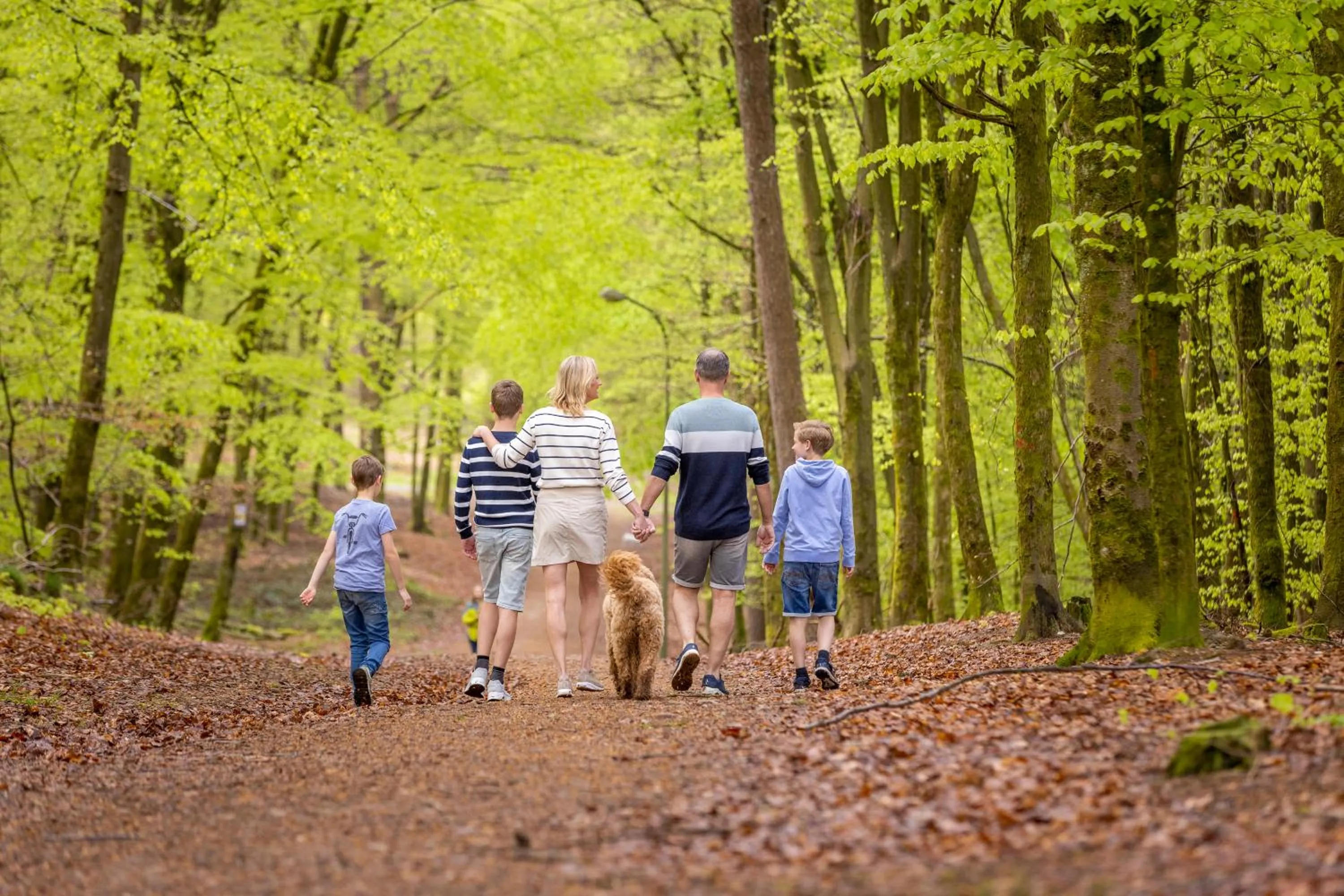 Ardennen Camping Bertrix