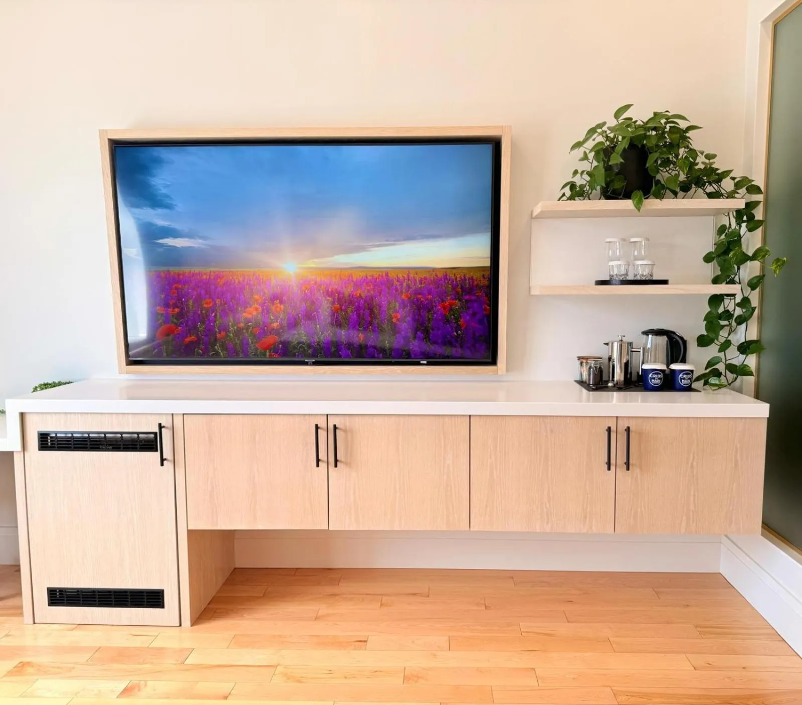 TV and multimedia in Cribs on Main