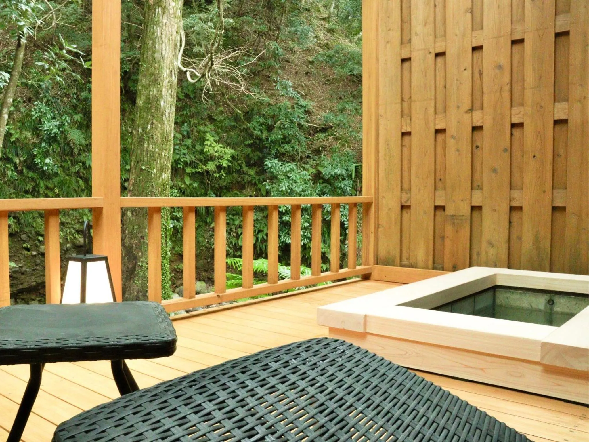 Hot Spring Bath in Mizumari