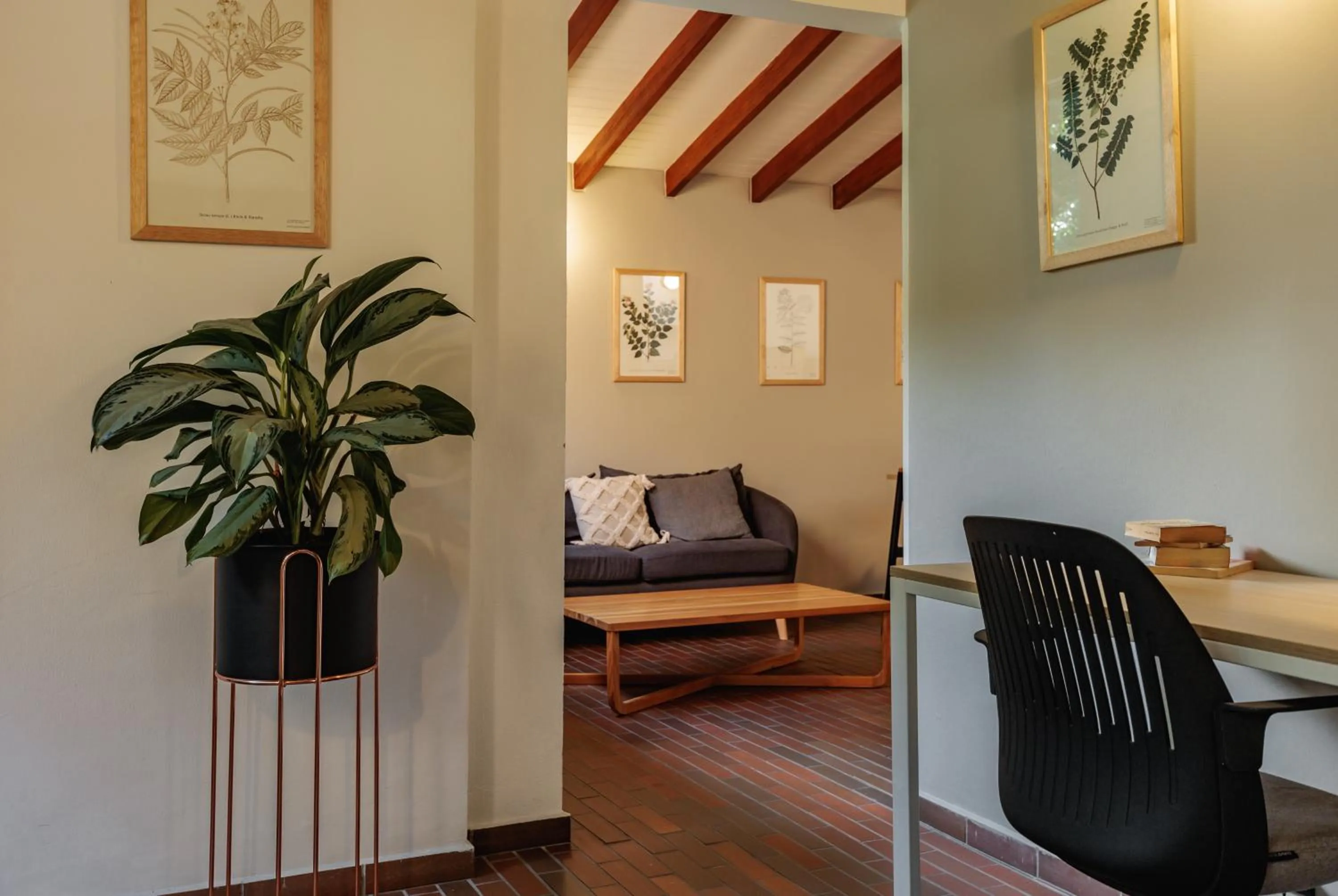 Living room in The Somos Flats Laureles