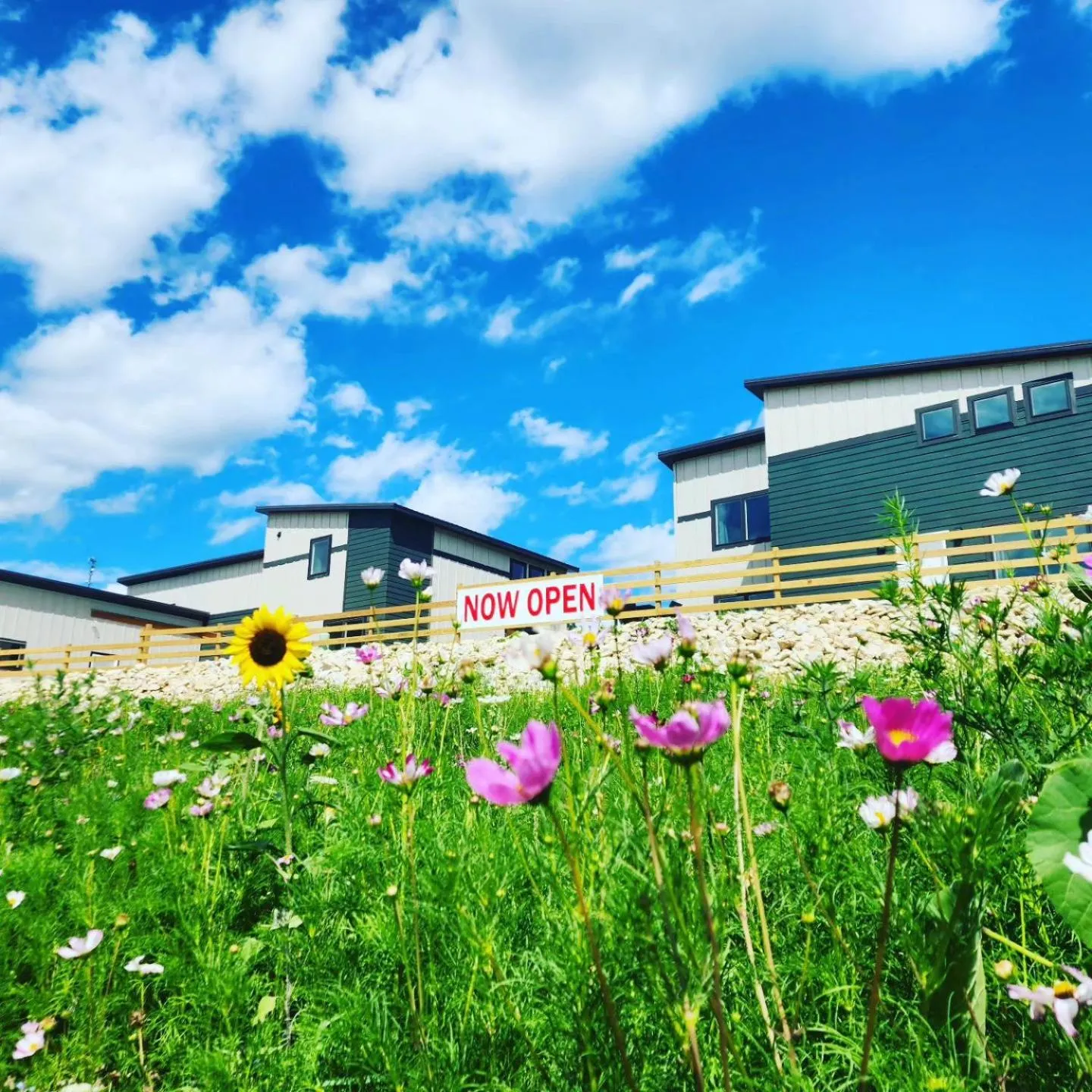 Property building in Bluffside Gardens