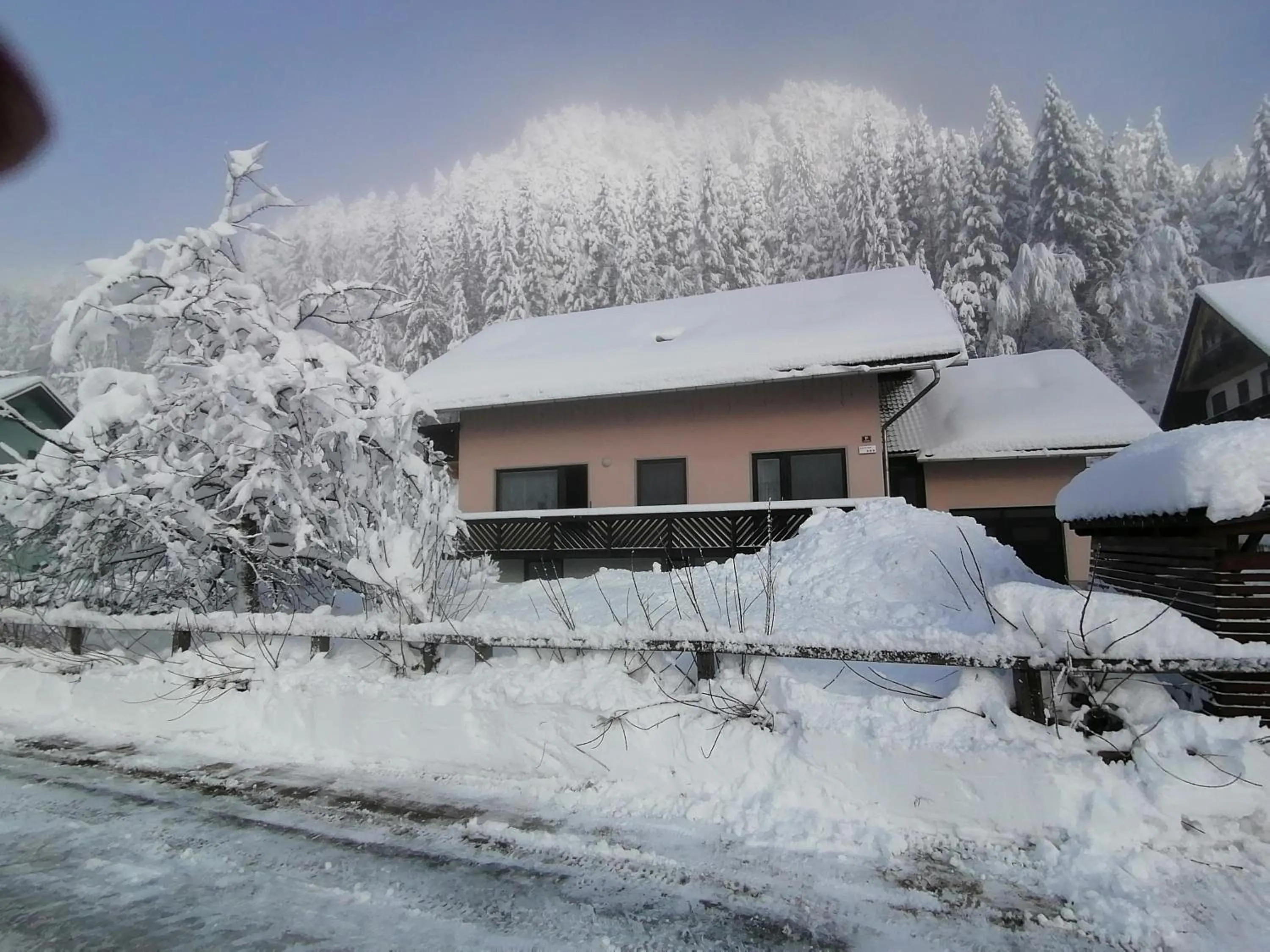 Apartments Mertelj