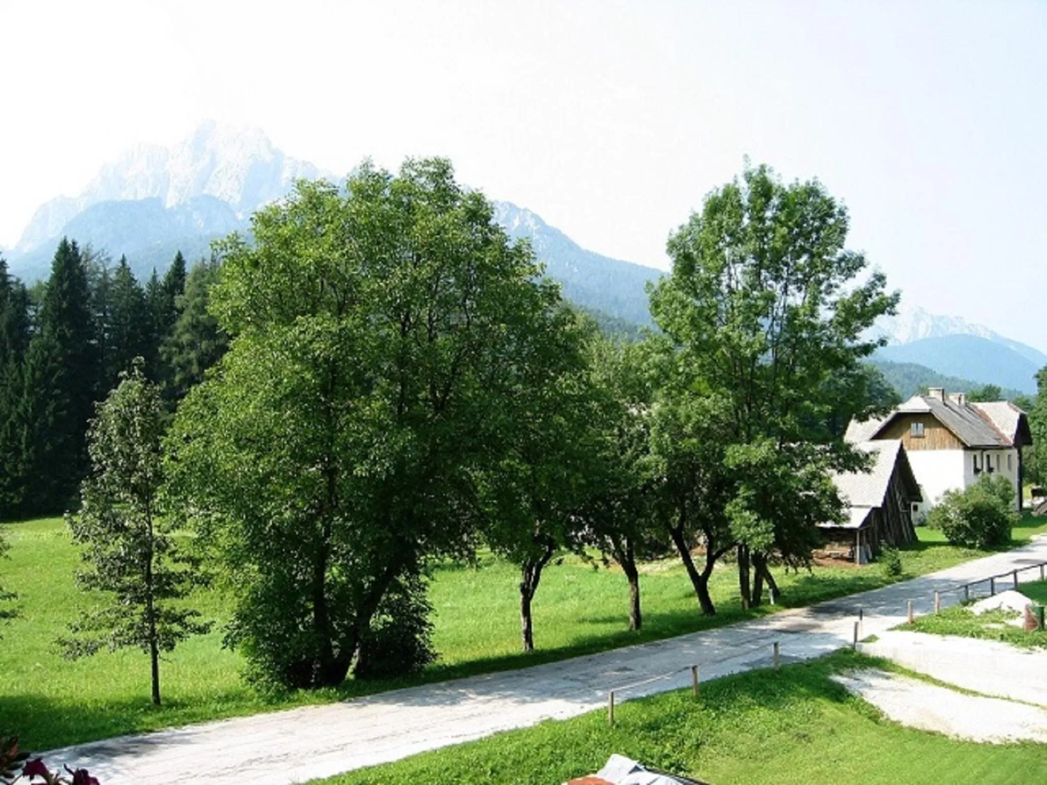 Natural landscape in Apartments Mertelj
