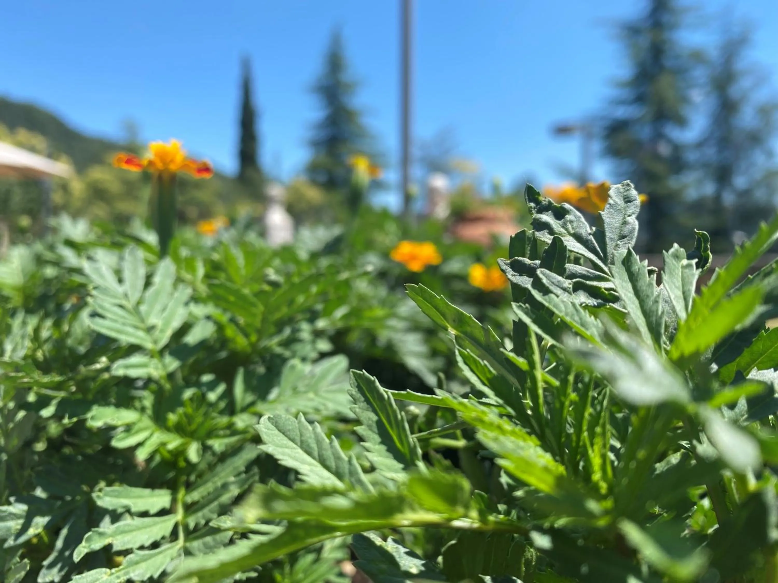 Garden in Residence delle Tre Corone