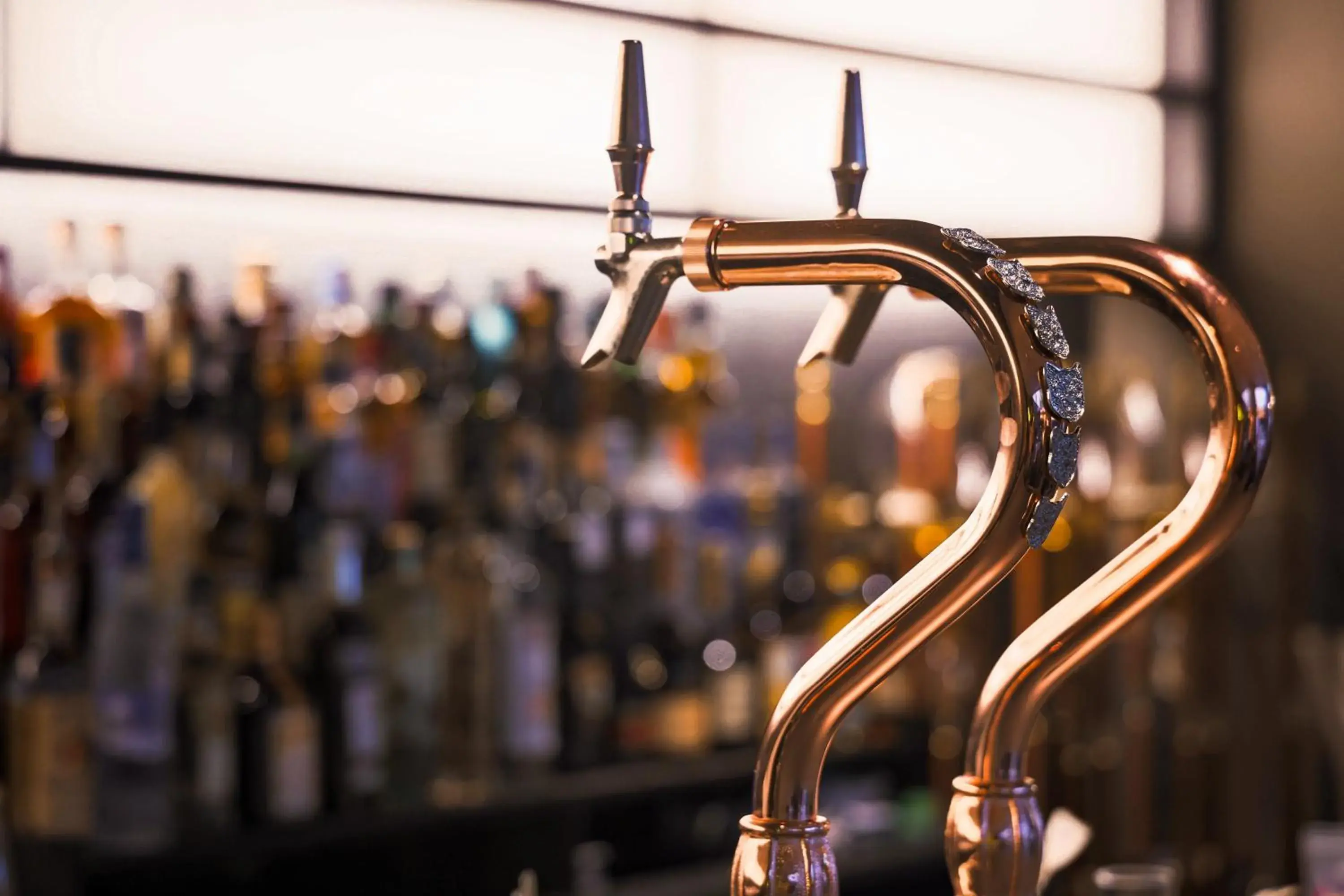 Lounge or bar in KABIN Kyoto Lounge or bar in KABIN Kyoto