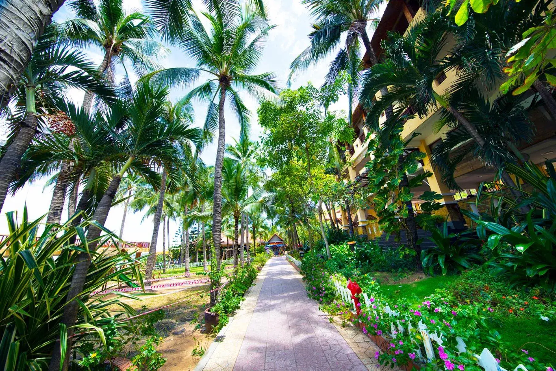 Property building in Hon Rom Central Beach Resort Property building in Hon Rom Central Beach Resort