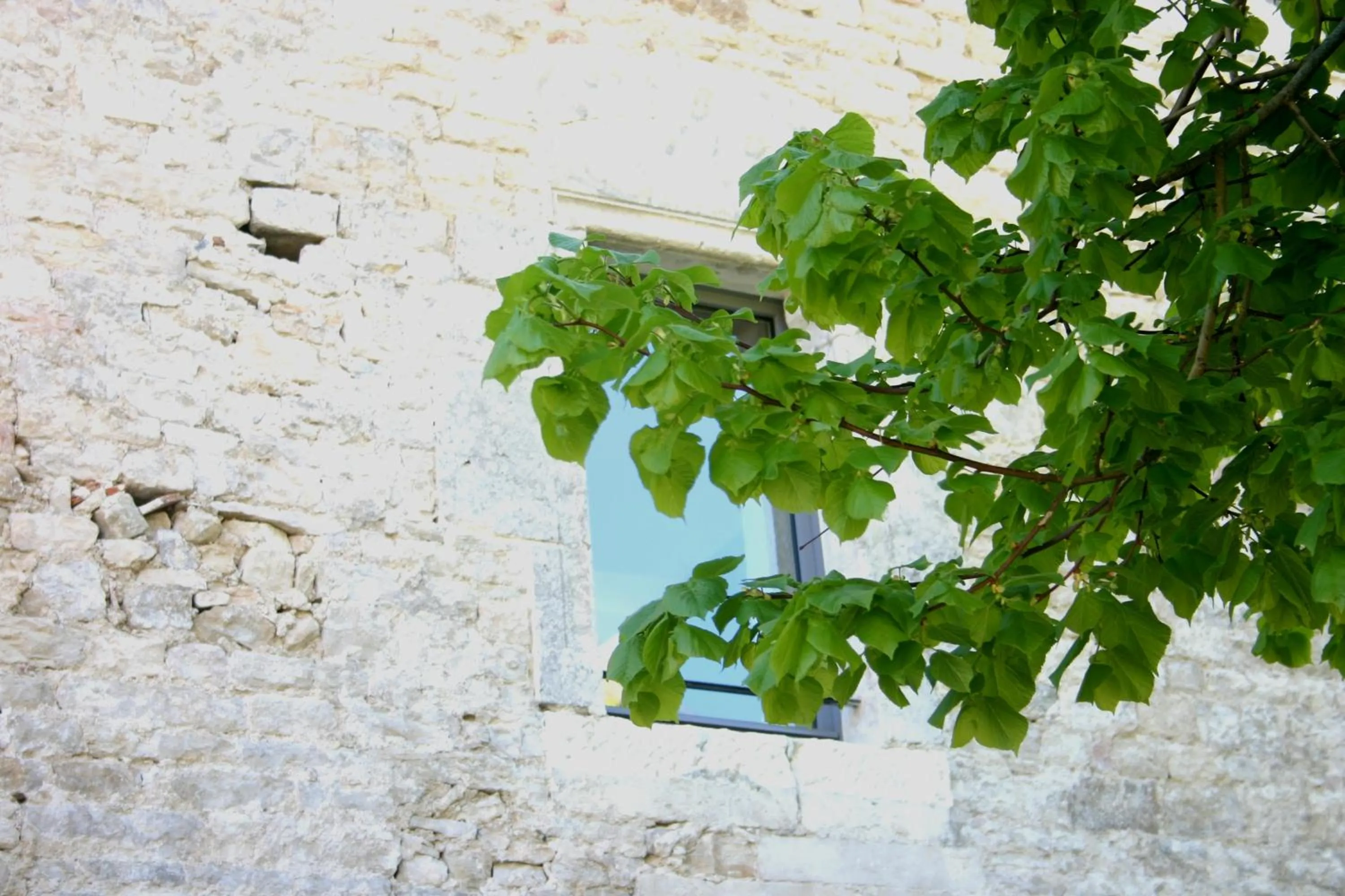 Other in La Terrasse - Hôtel Restaurant à Vézelay