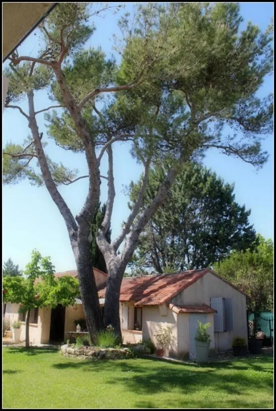Garden view in A l'Orée du Pin