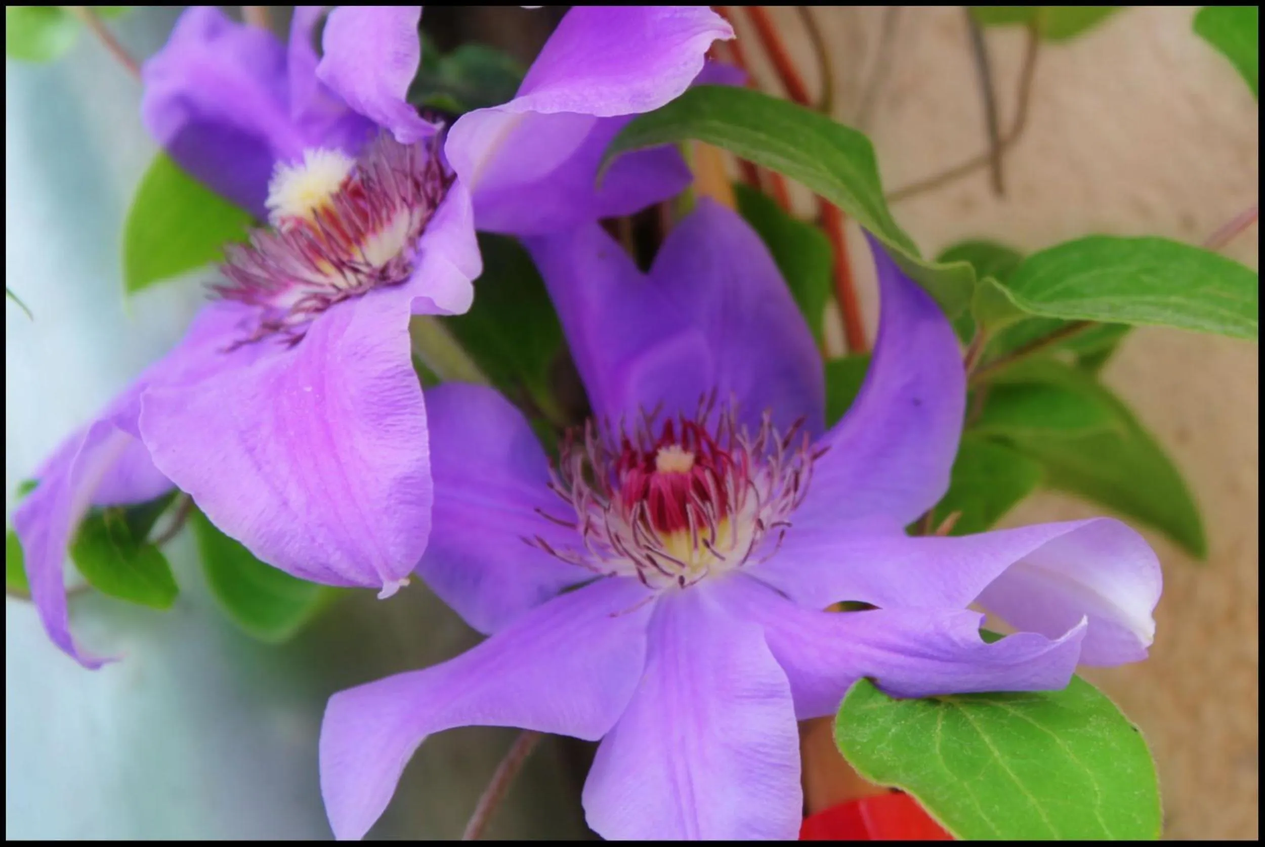 Facade/entrance in A l'Orée du Pin