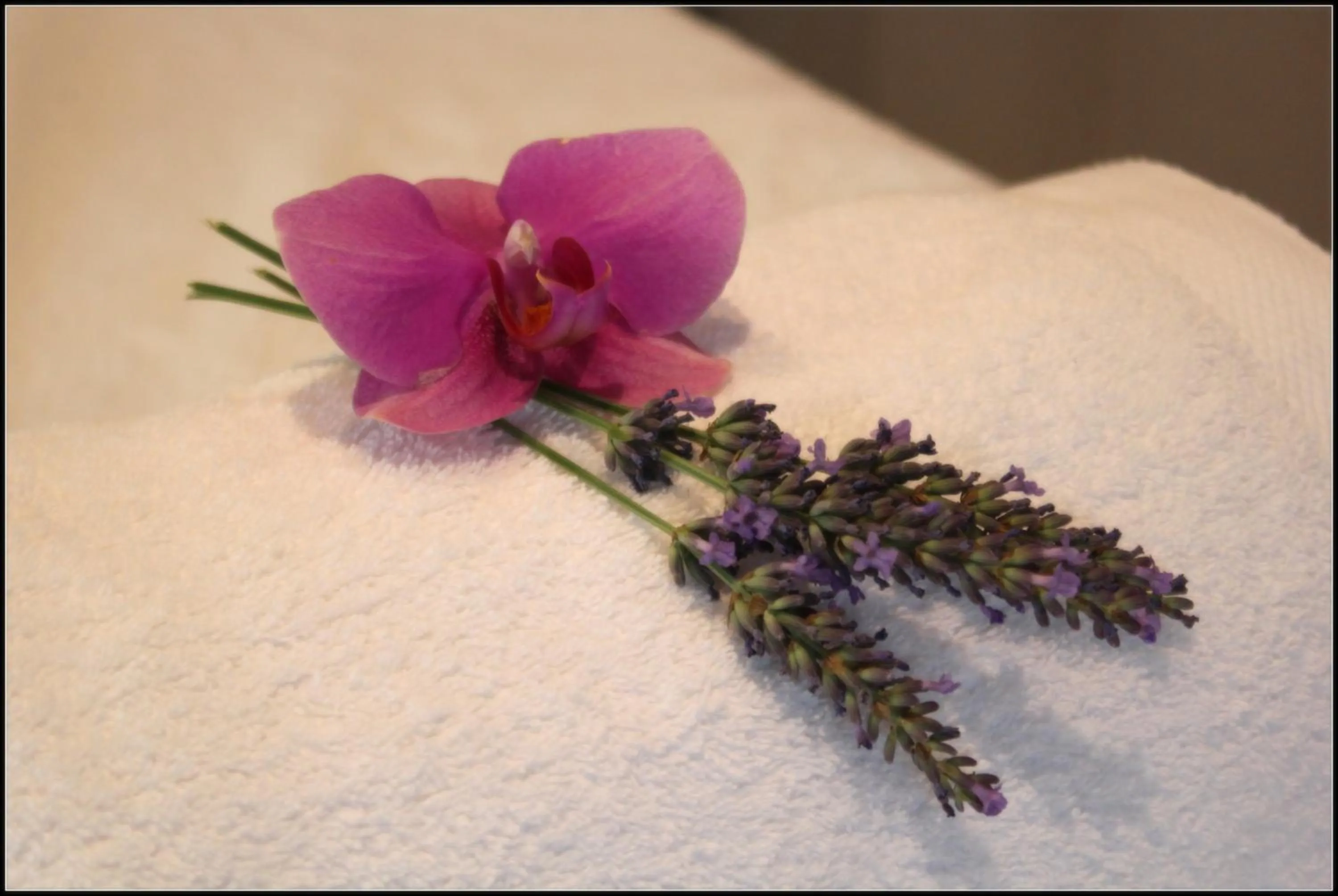 Other in A l'Orée du Pin