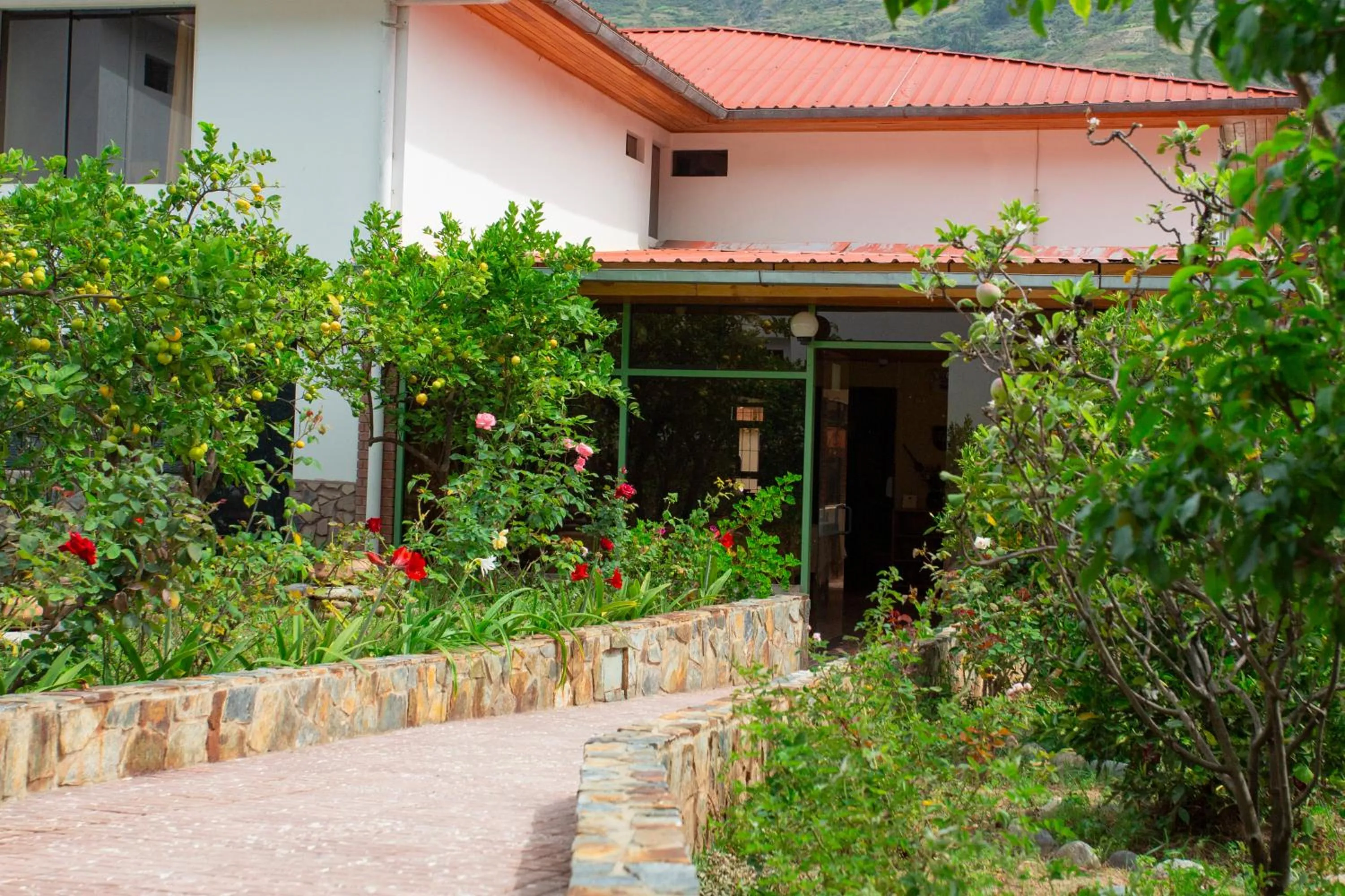 Garden view in Hotel El Abuelo