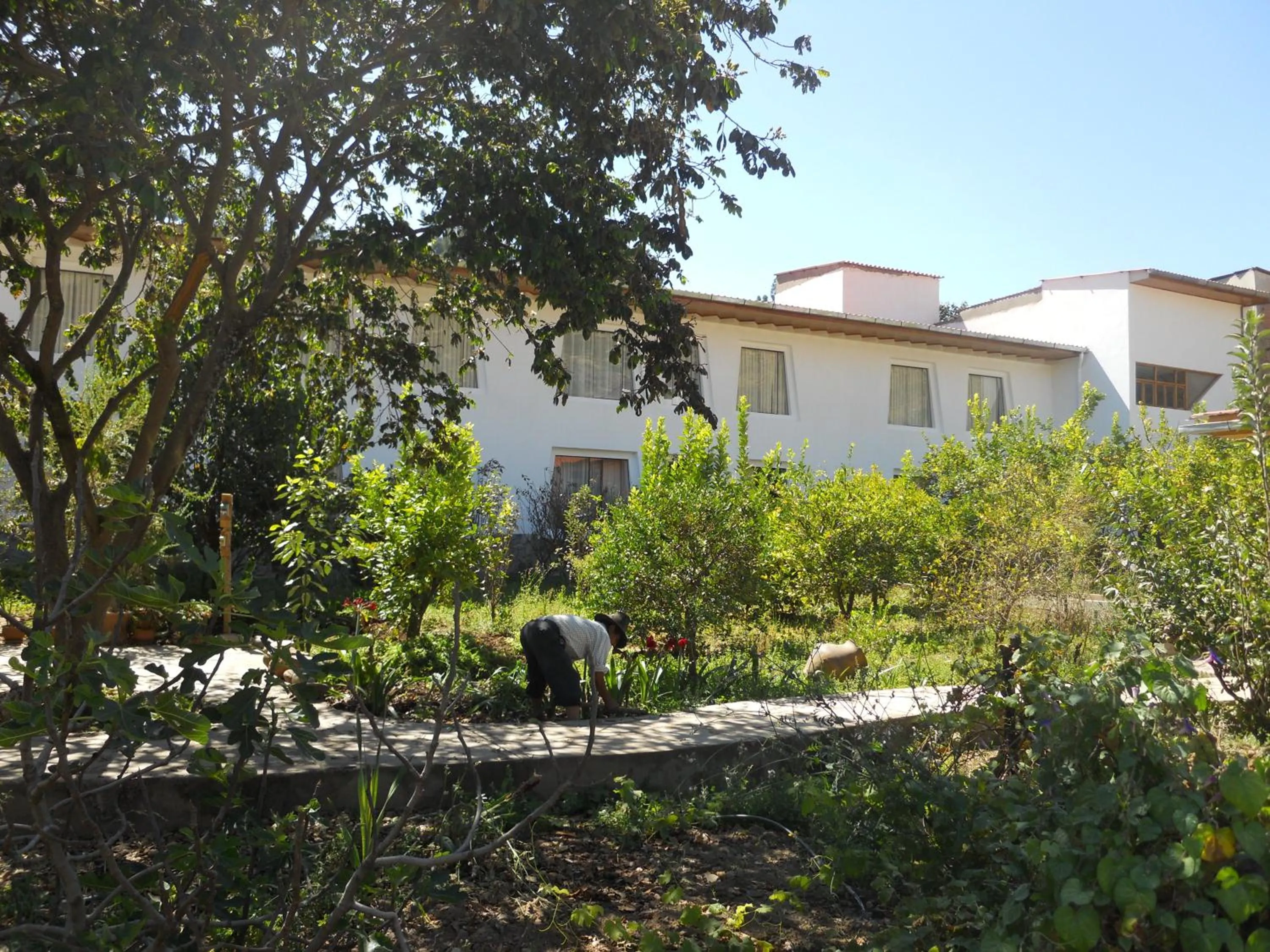 Garden in Hotel El Abuelo