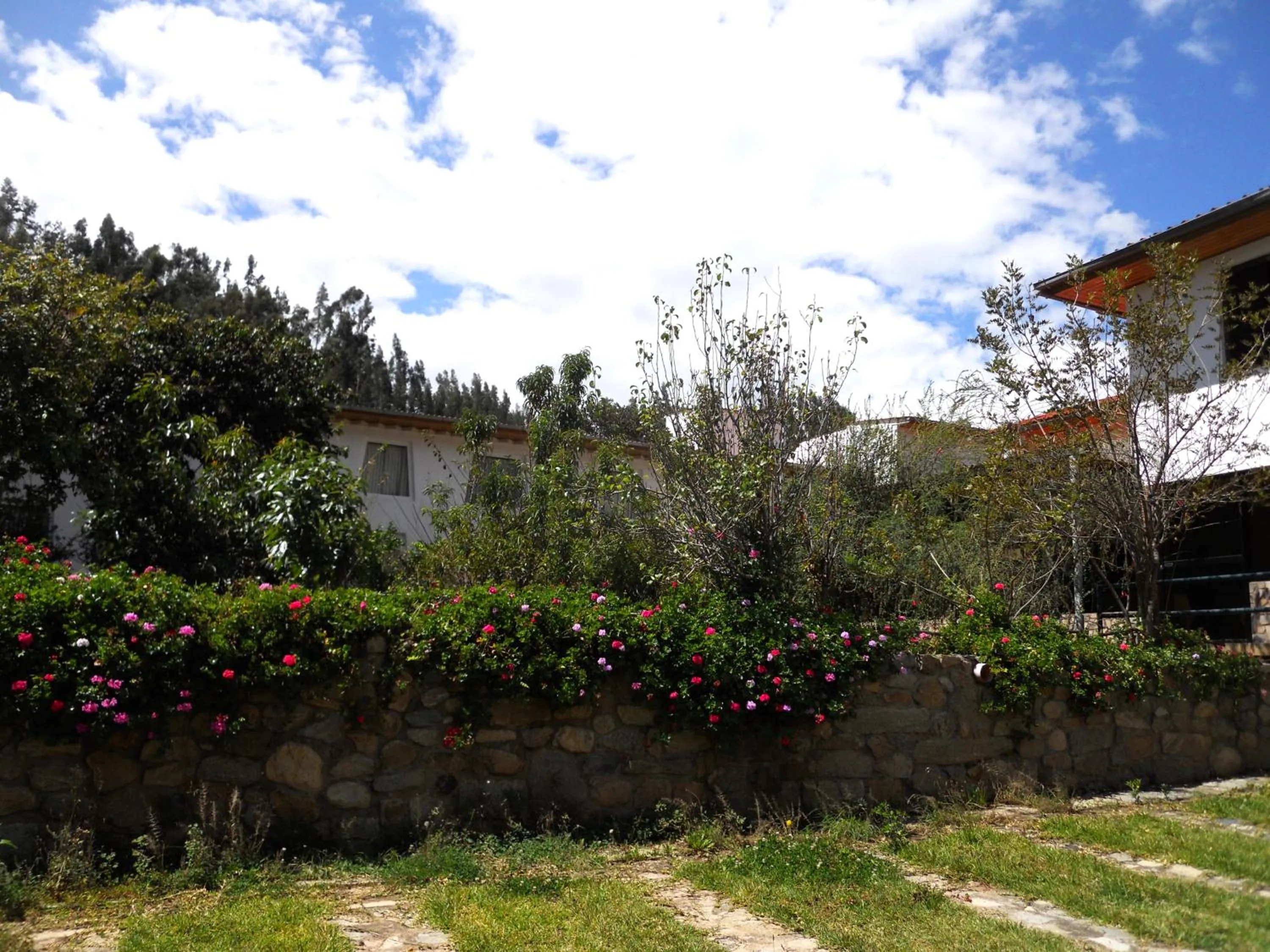 Garden in Hotel El Abuelo