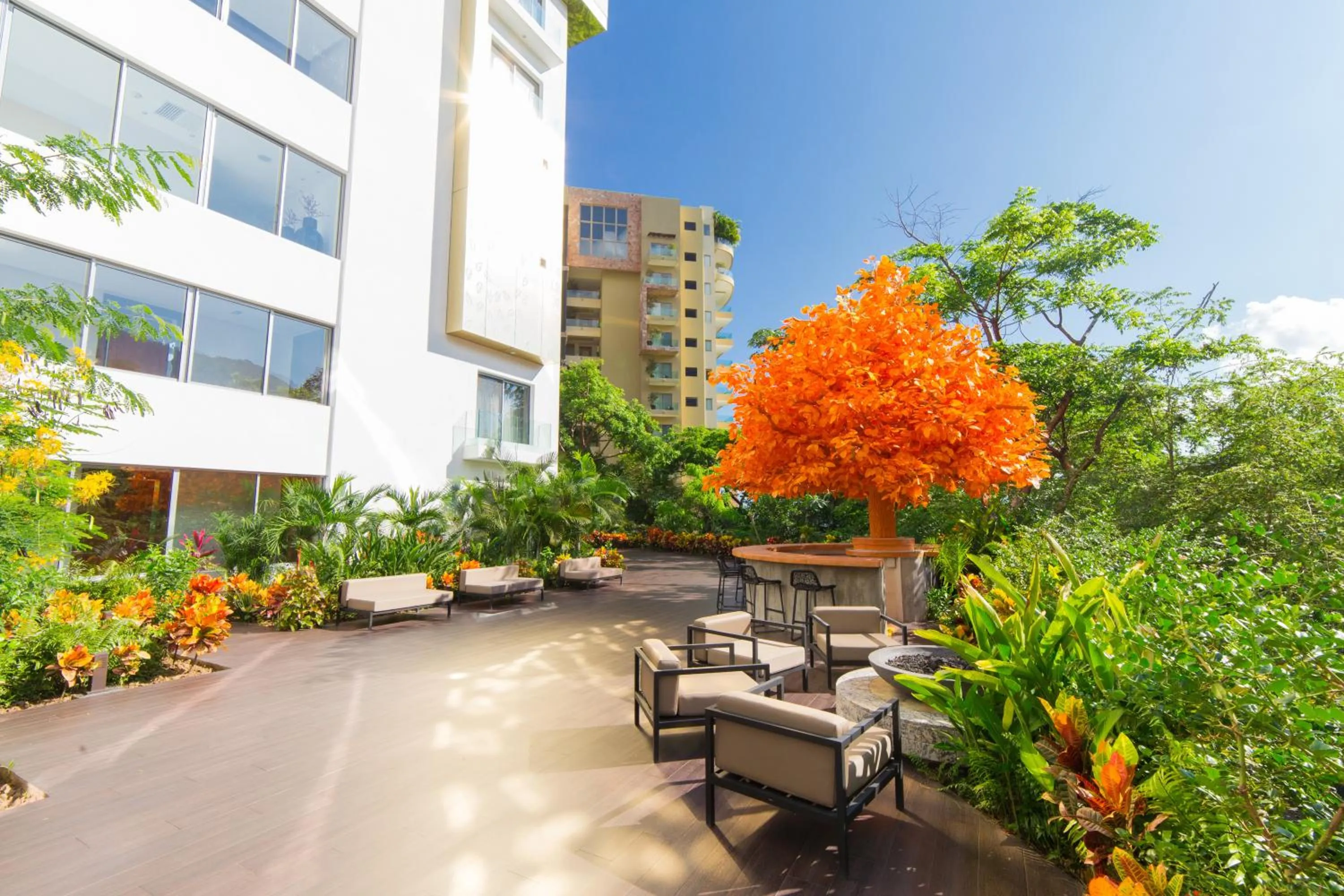 Area and facilities in Hotel Mousai - Adults Only