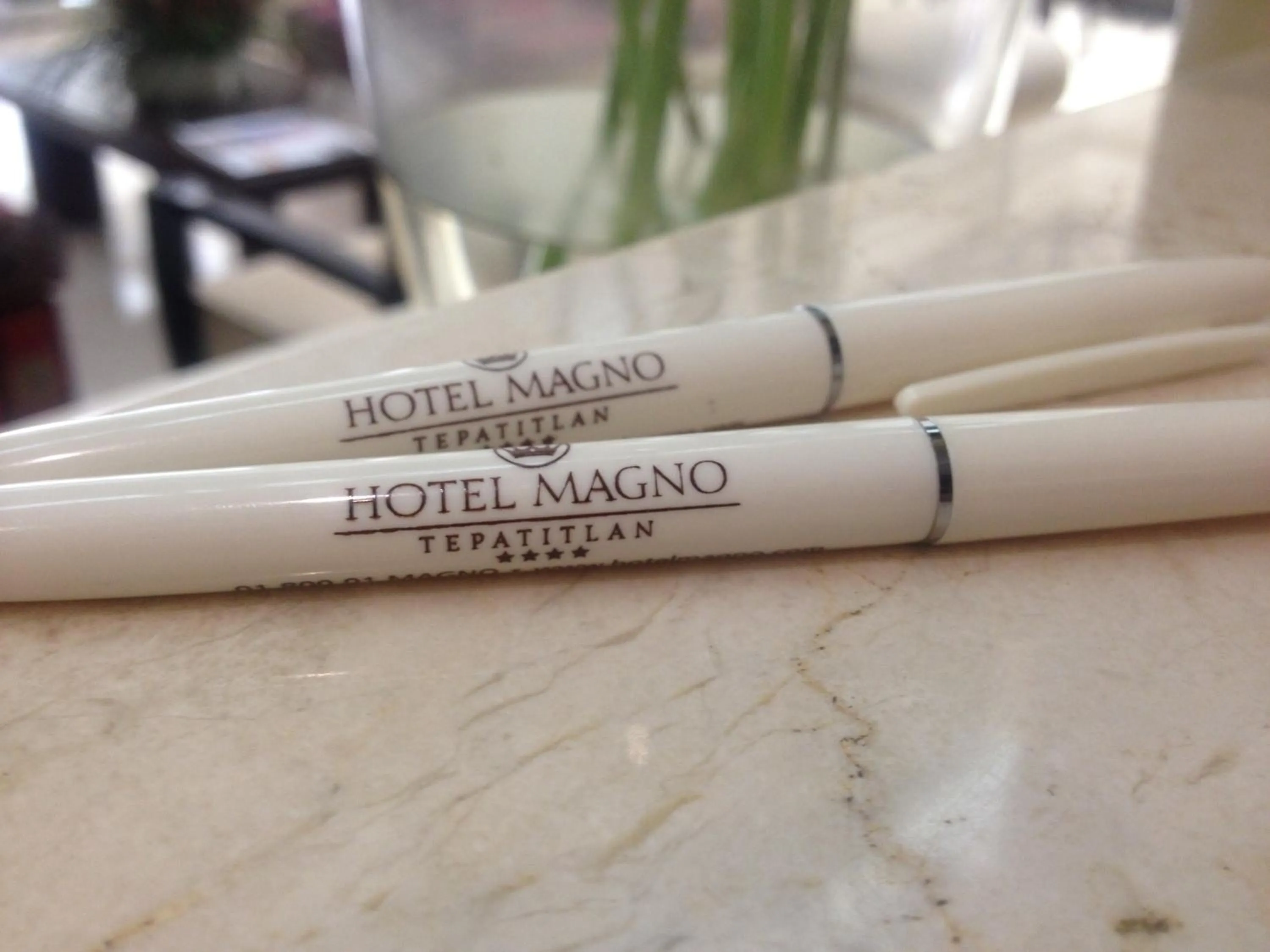 Other in Hotel Magno Tepatitlán