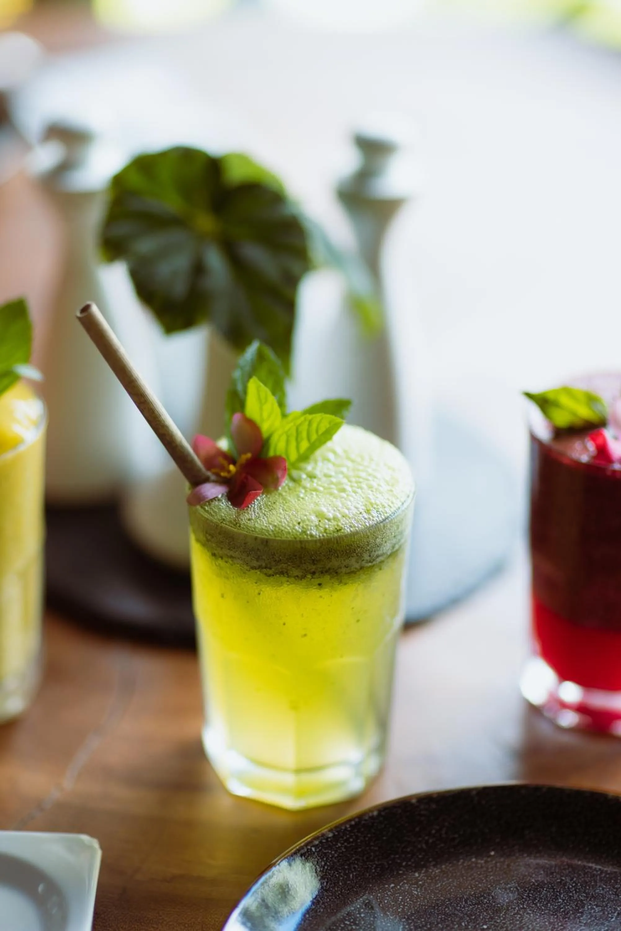 Food and drinks in Trogon Lodge