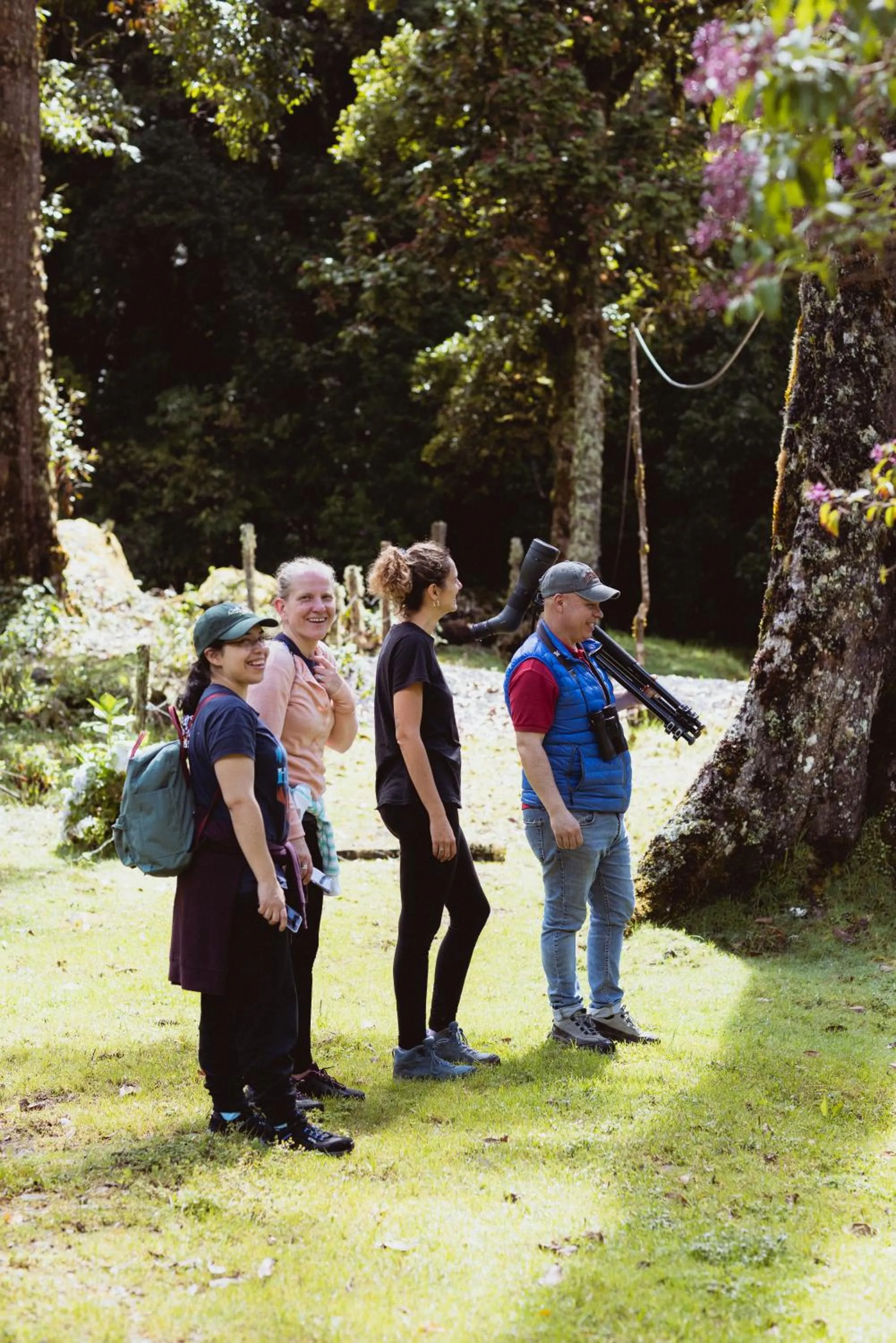 Natural landscape in Trogon Lodge