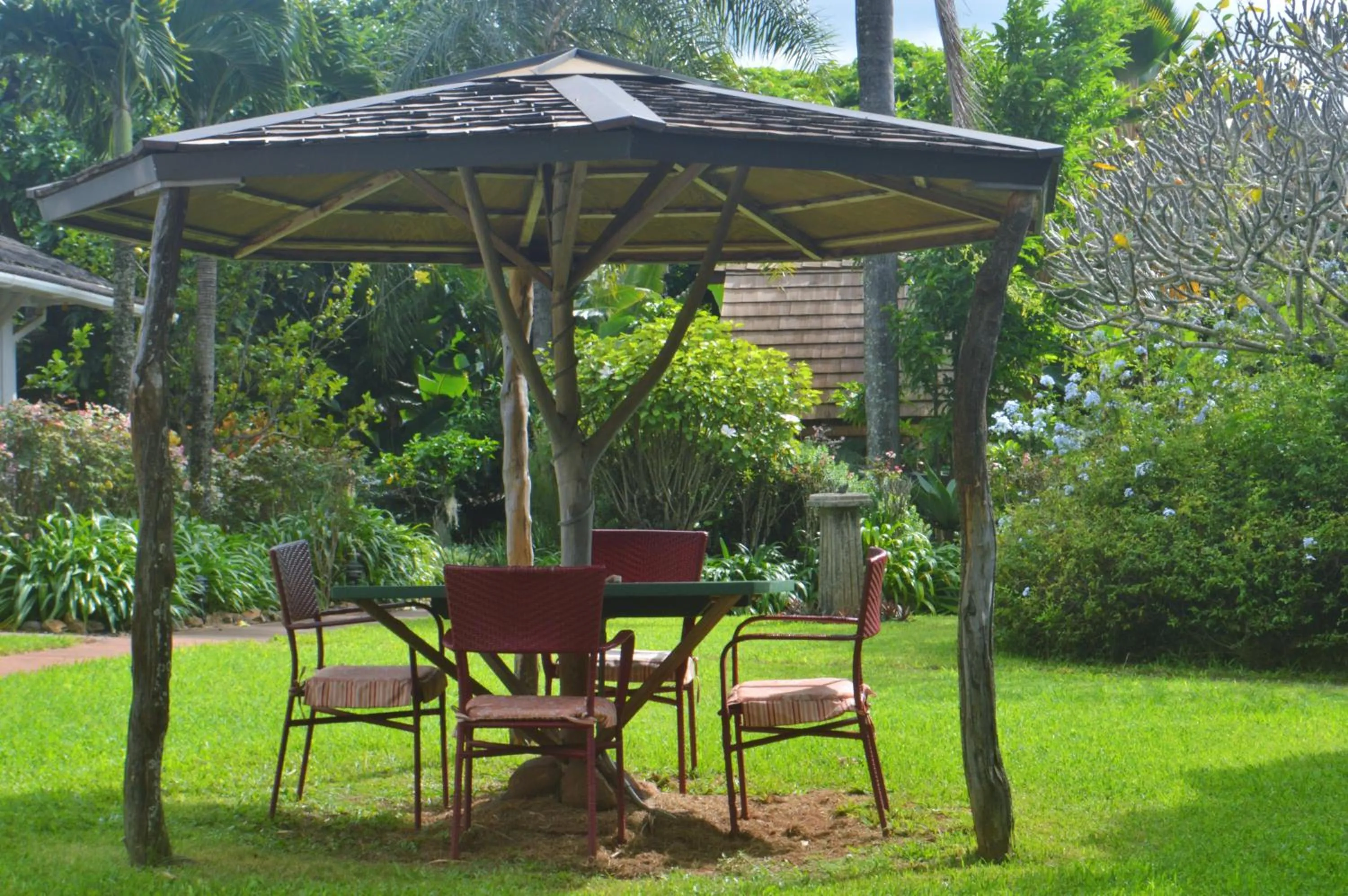 Patio in Banyan Tree B&B Retreat
