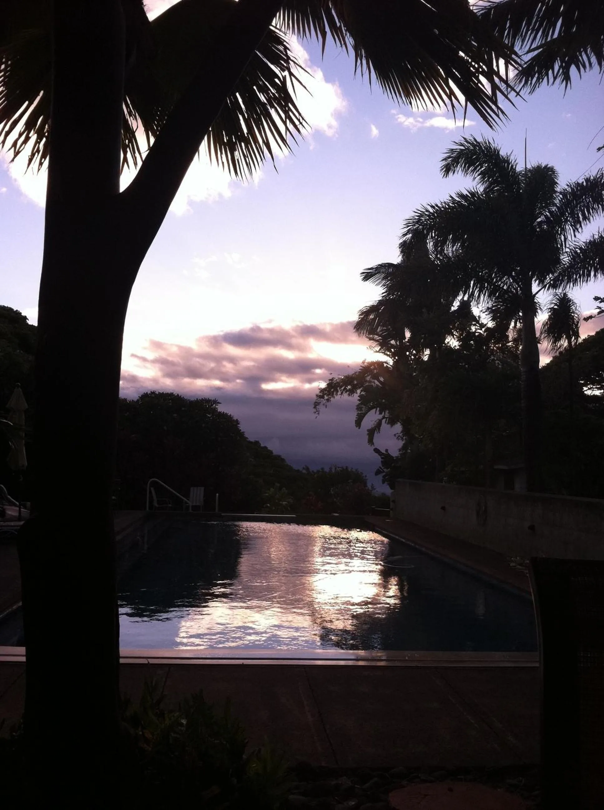 Swimming pool in Banyan Tree B&B Retreat