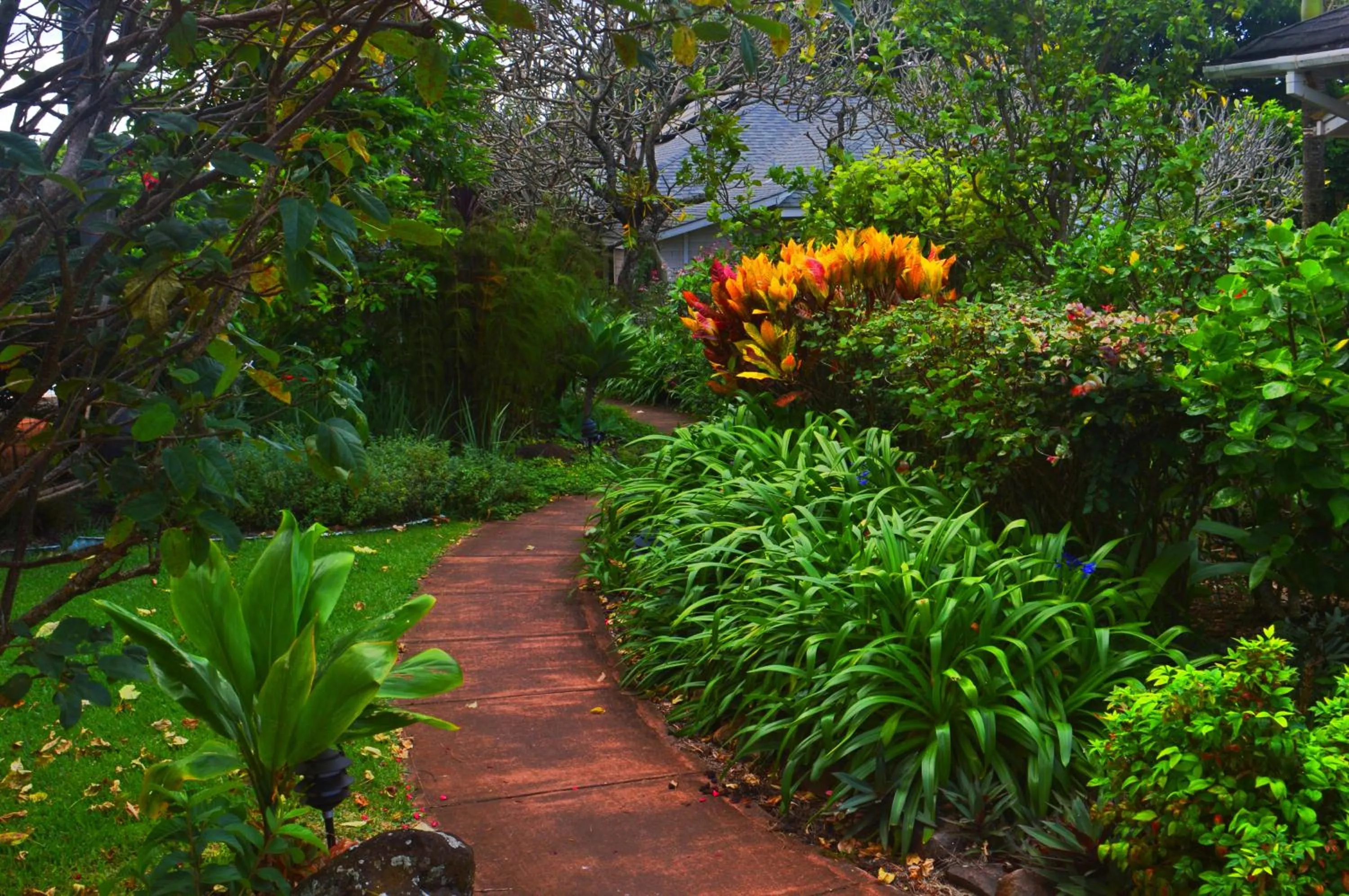 Garden in Banyan Tree B&B Retreat