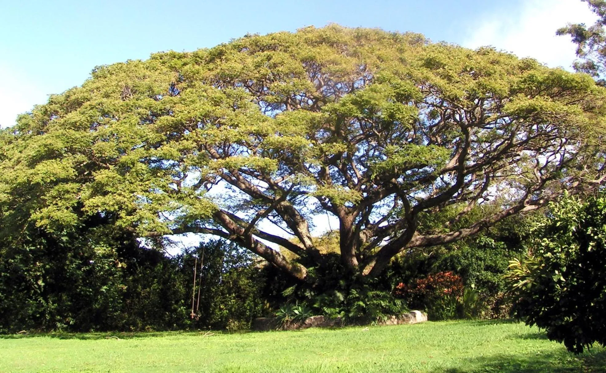 Garden in Banyan Tree B&B Retreat