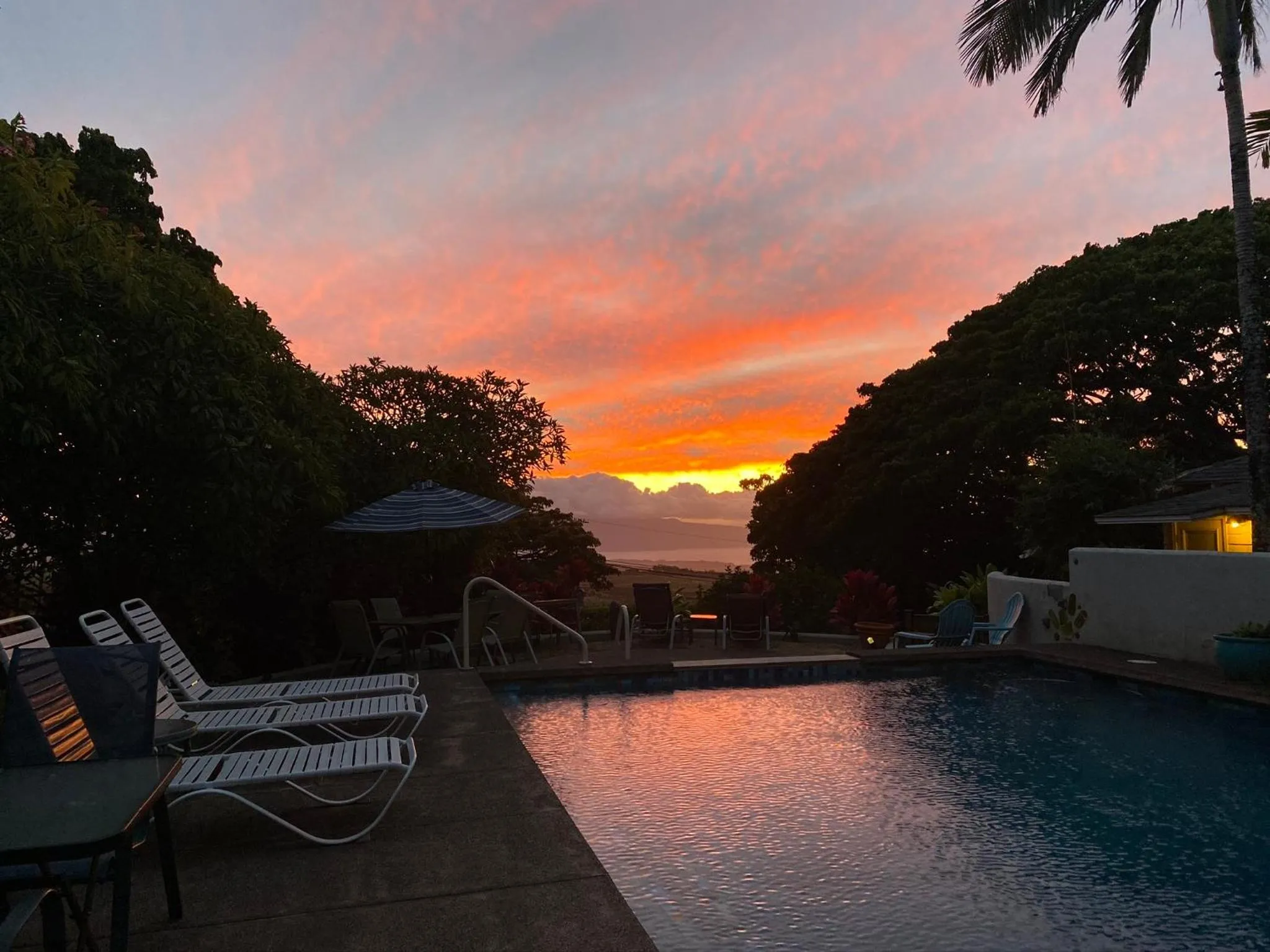 Banyan Tree B&B Retreat