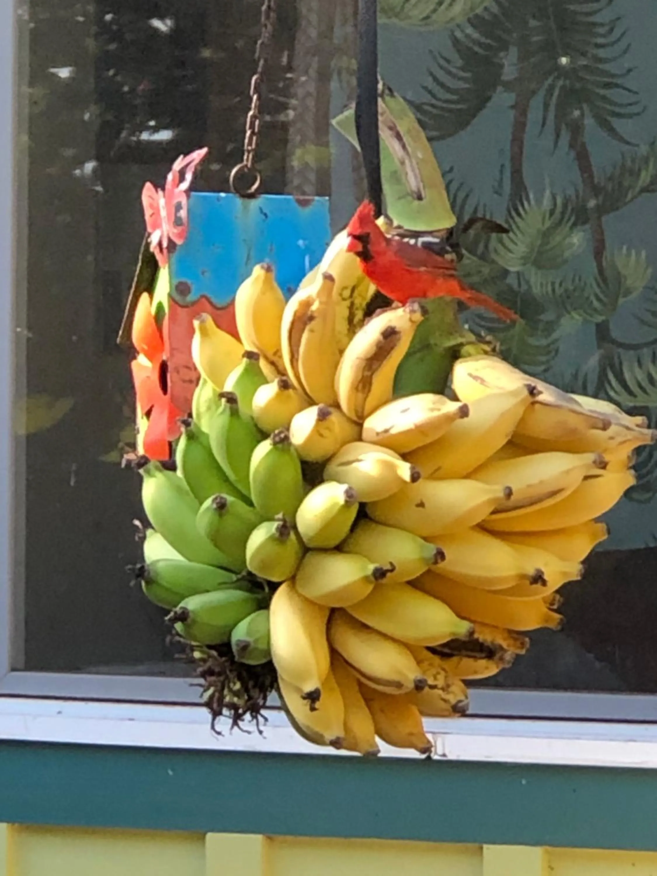Banyan Tree B&B Retreat