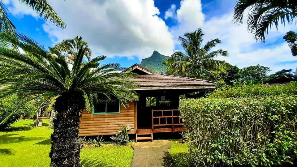 Bungalow in Eco Lodge Village Temanoha Bungalow in Eco Lodge Village Temanoha