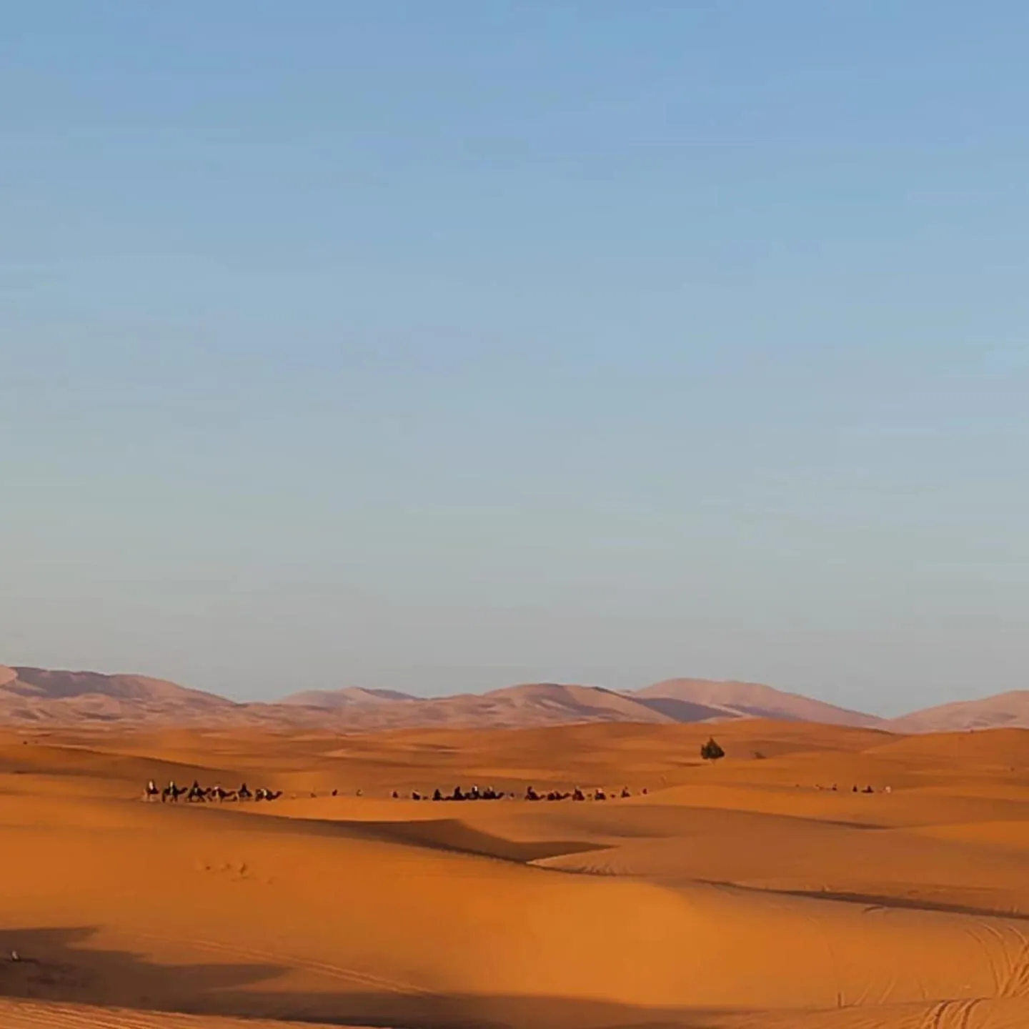 Entertainment in Riad La Luna