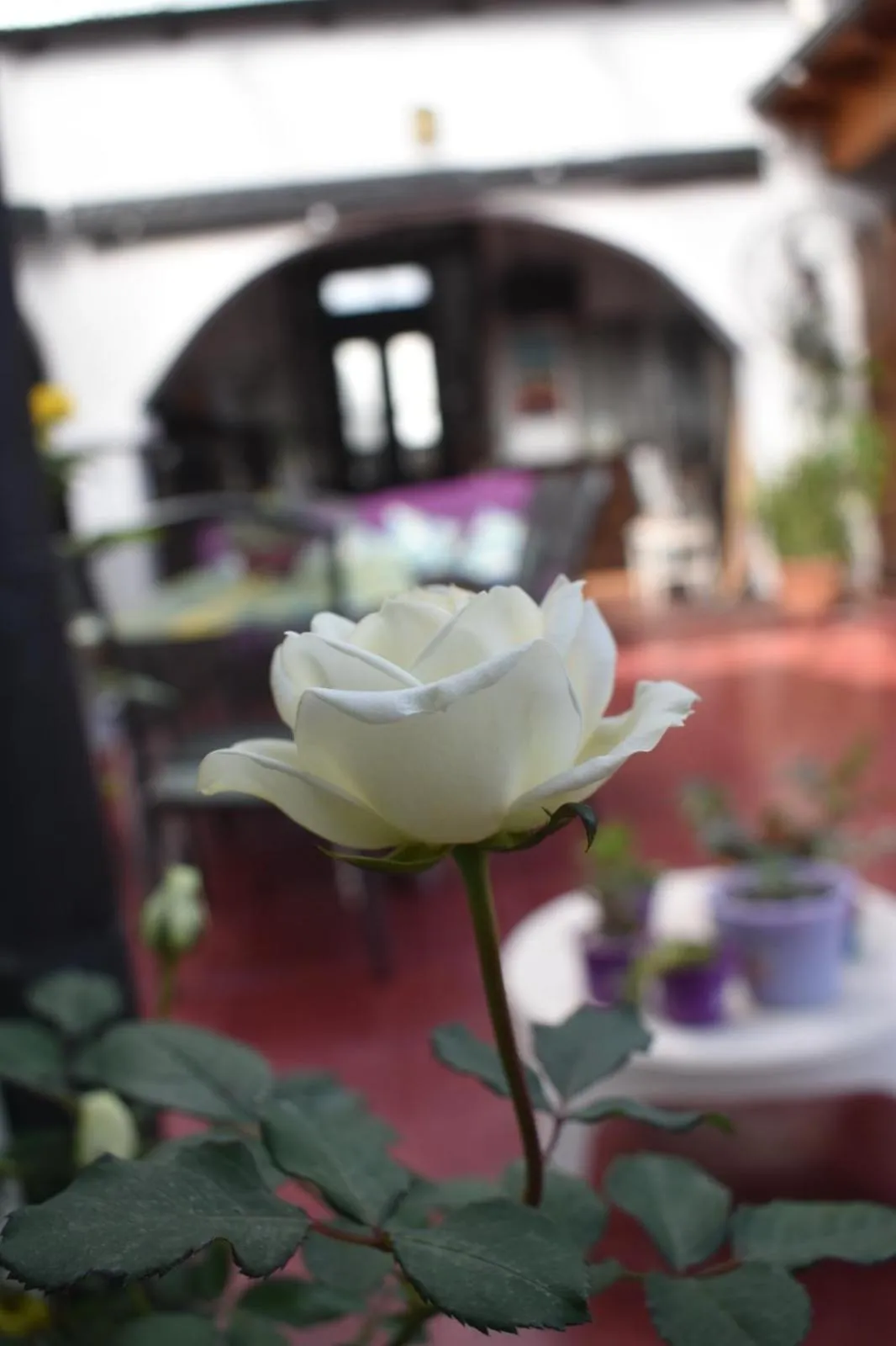 Patio in Ñanderoga B&B
